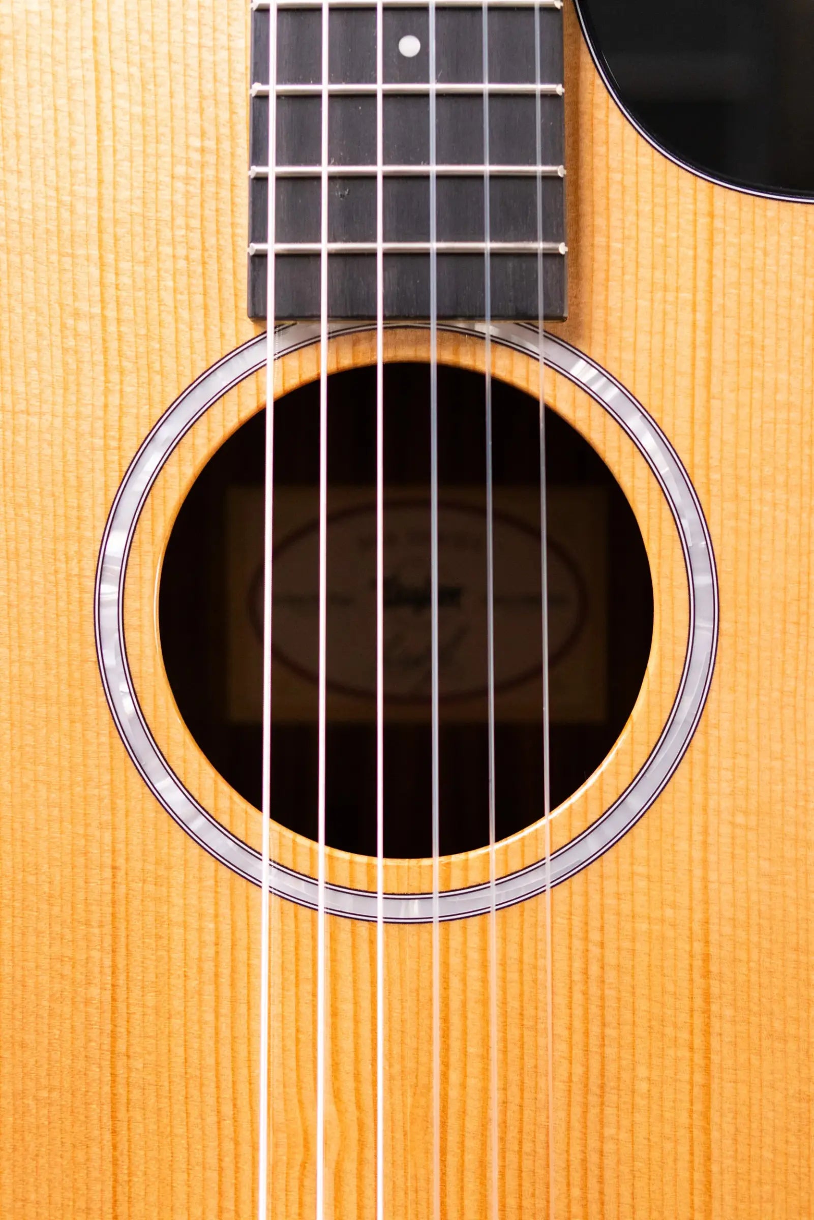 Taylor 212ce-N Plus Nylon Grand Concert Acoustic/Electric Guitar with Aerocase