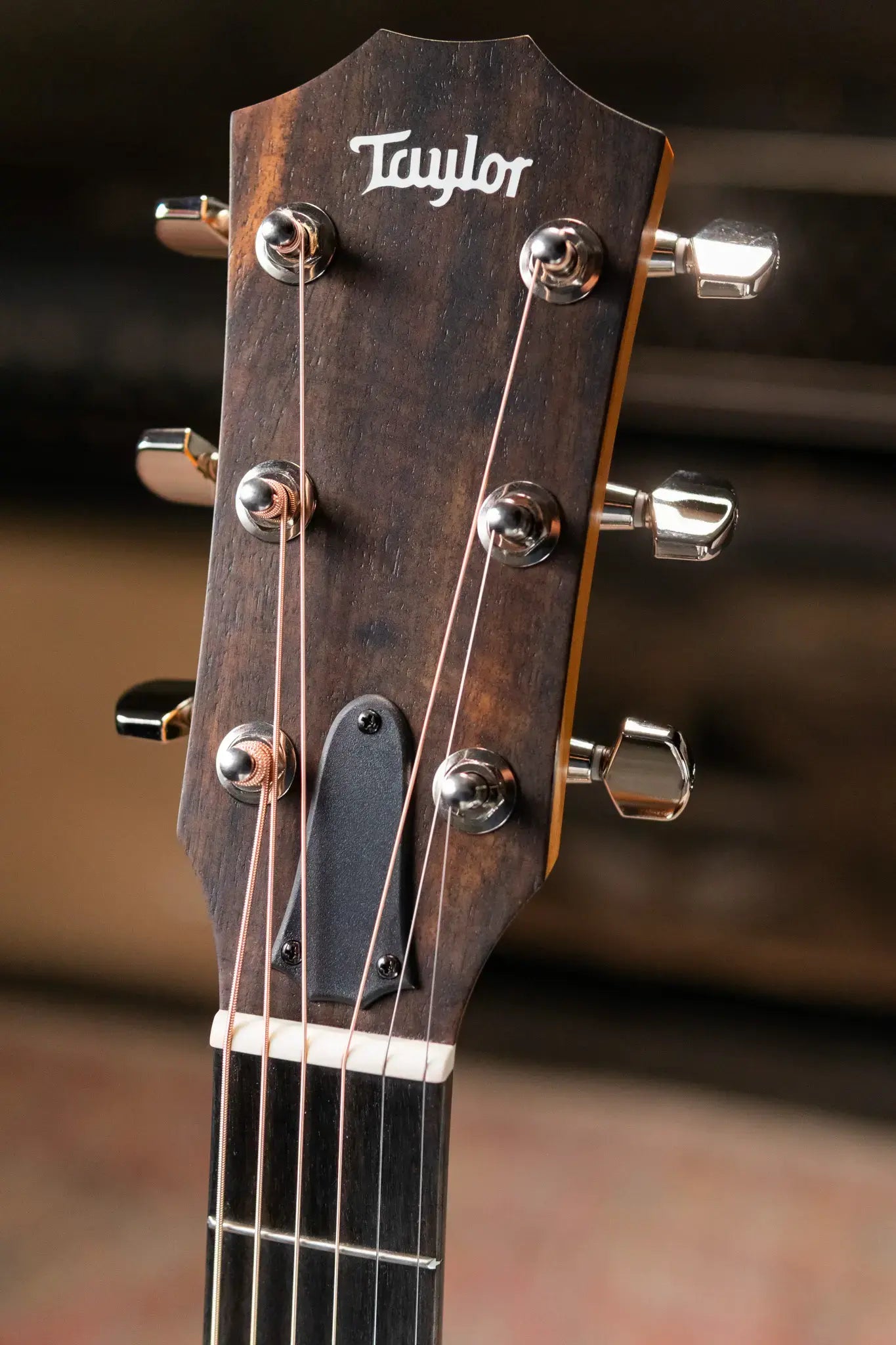 Taylor 212ce Plus Grand Concert Acoustic/Electric Guitar with Aerocase - Factory Demo