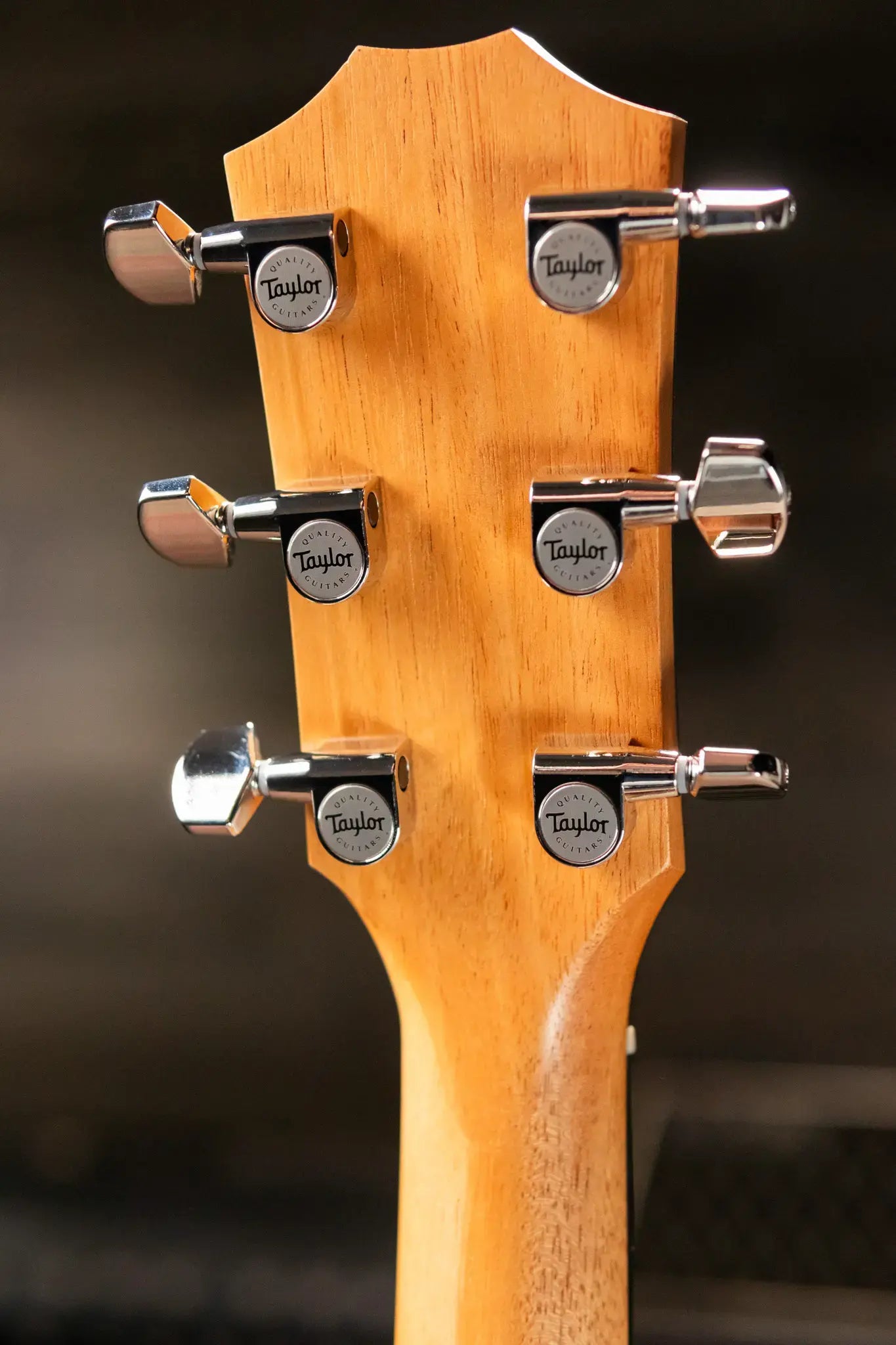 Taylor 212ce Plus Grand Concert Acoustic/Electric Guitar with Aerocase - Factory Demo