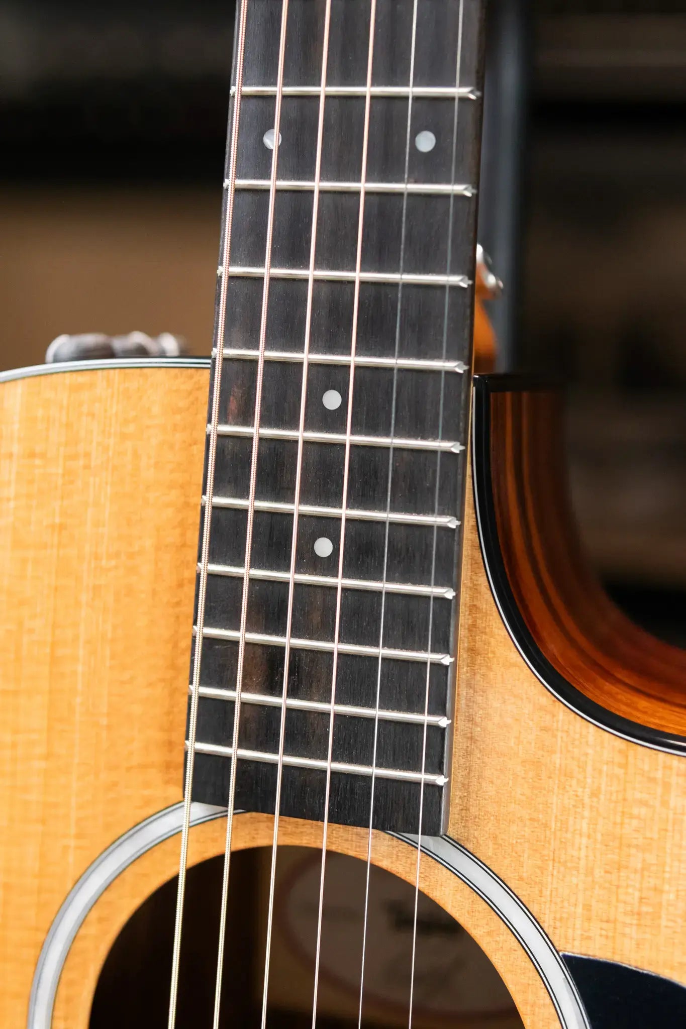 Taylor 212ce Plus Grand Concert Acoustic/Electric Guitar with Aerocase - Factory Demo