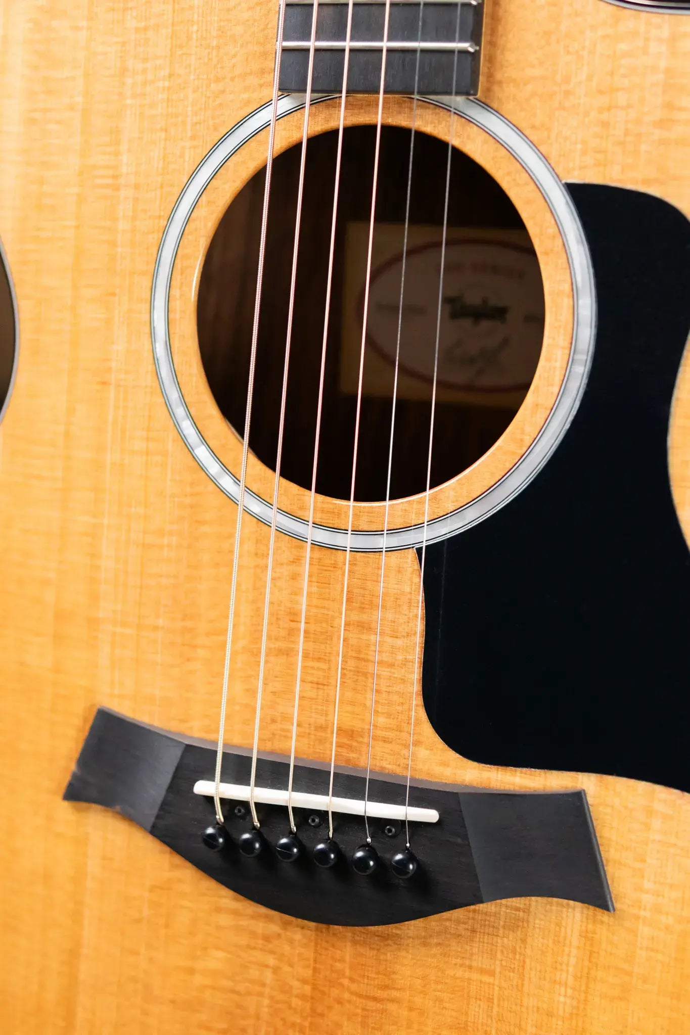 Taylor 212ce Plus Grand Concert Acoustic/Electric Guitar with Aerocase - Factory Demo