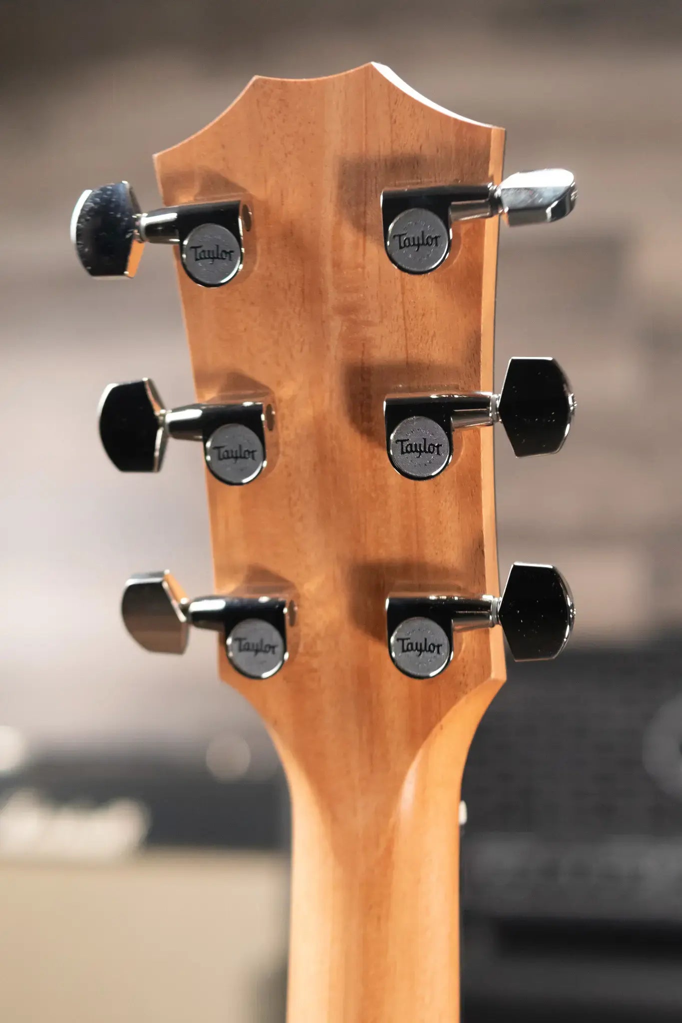 Taylor 212ce Plus Grand Concert Acoustic/Electric Guitar with Aerocase