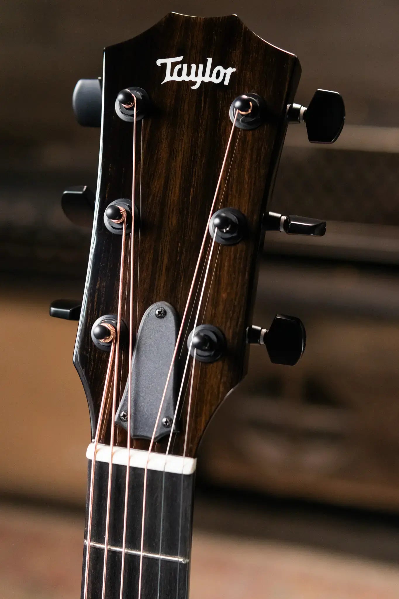 Taylor 214ce-BLK Plus Grand Auditorium Acoustic/Electric Guitar - Black with Aerocase