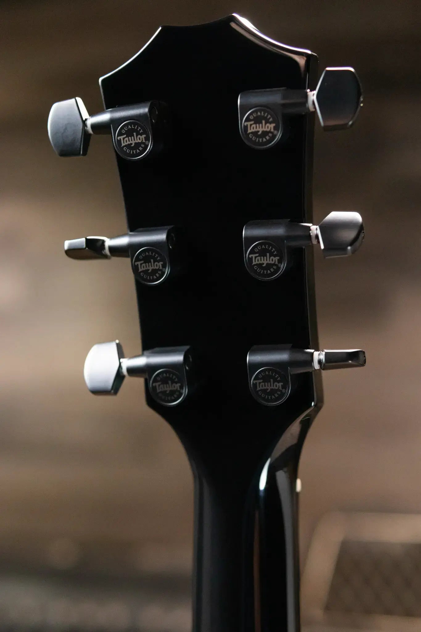 Taylor 214ce-BLK Plus Grand Auditorium Acoustic/Electric Guitar - Black with Aerocase