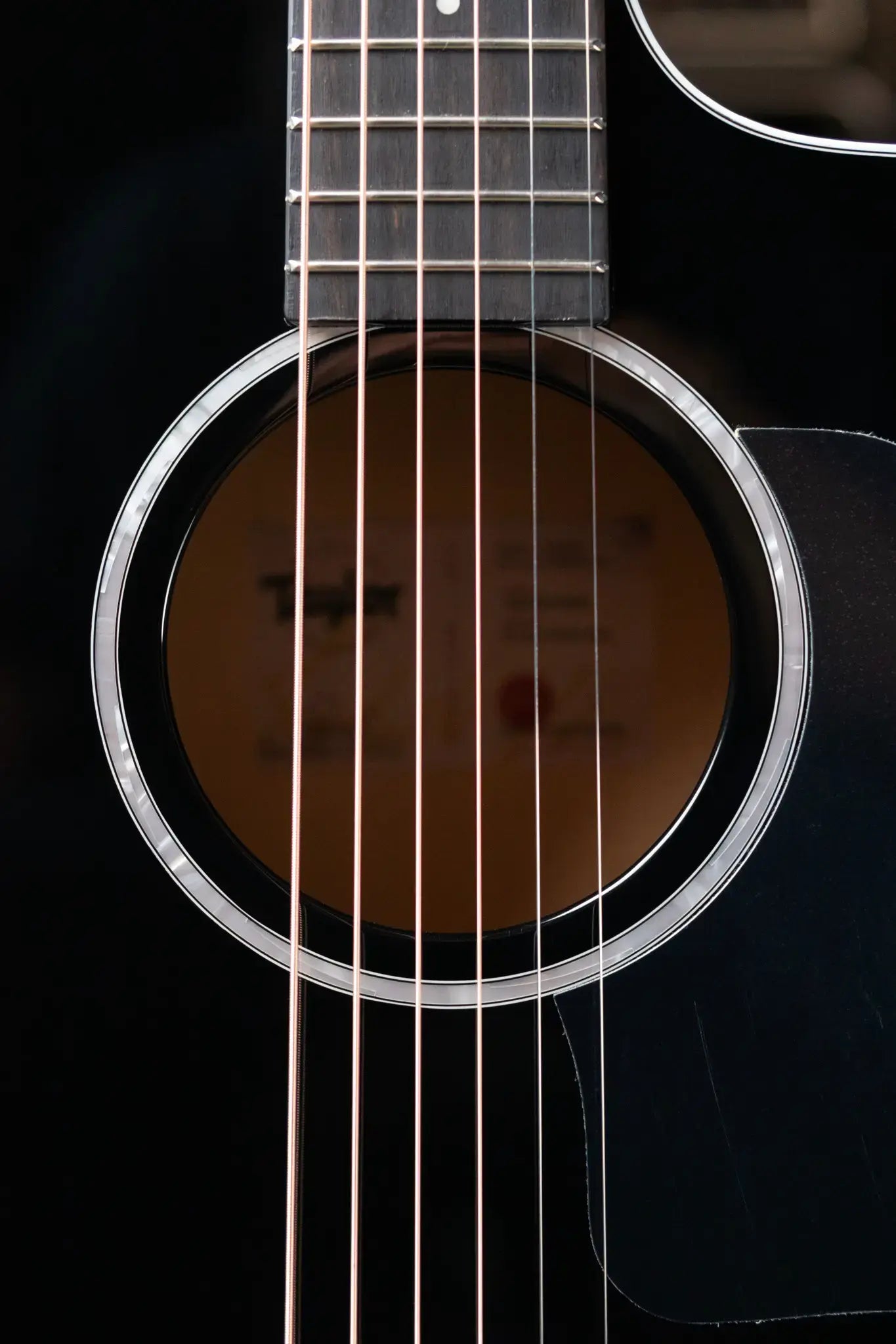 Taylor 214ce-BLK Plus Grand Auditorium Acoustic/Electric Guitar - Black with Aerocase