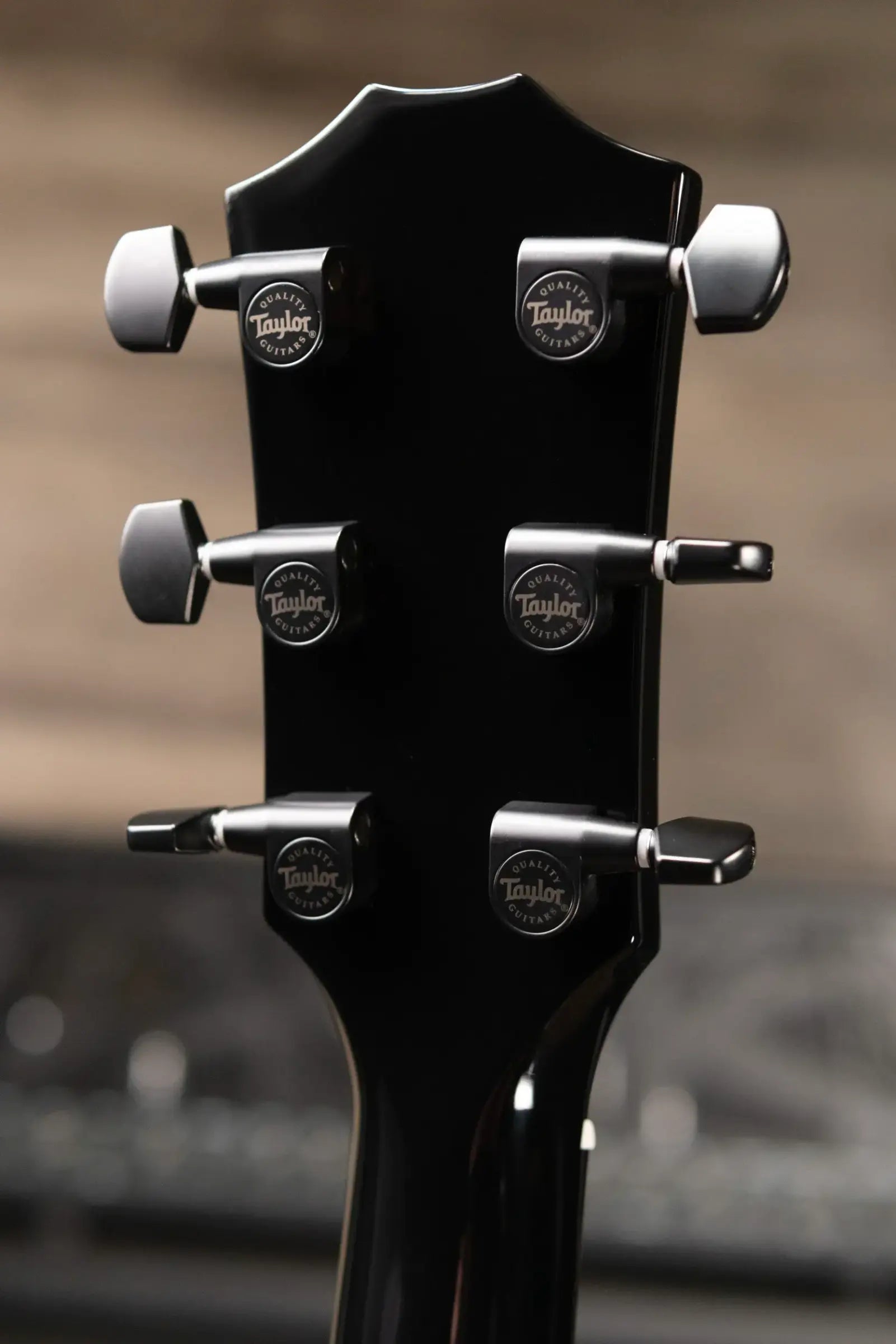 Taylor 214ce-BLK Plus Grand Auditorium Acoustic/Electric Guitar - Black with Aerocase - Factory Demo