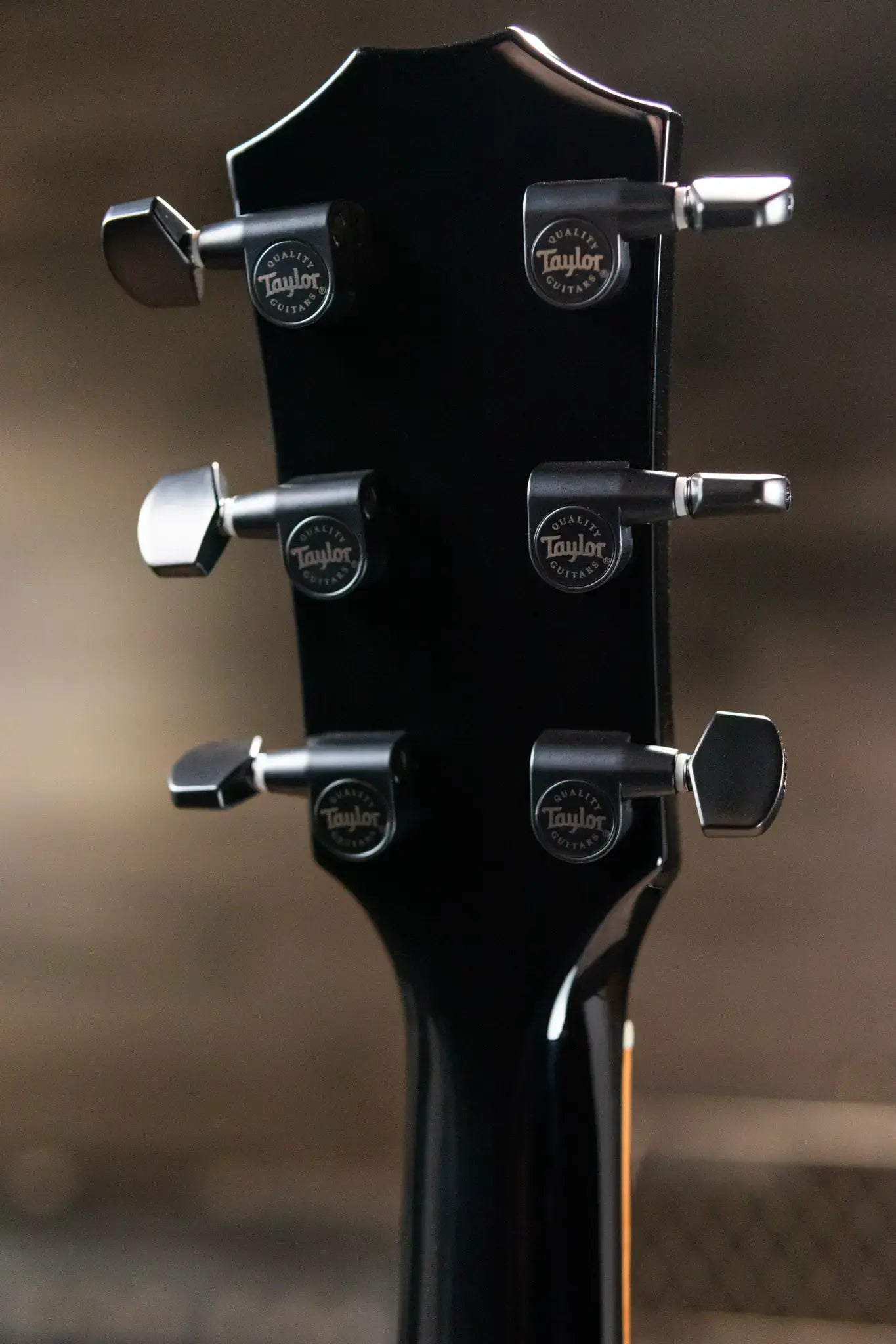 Taylor 214ce-BLK Plus Left-Hand Grand Auditorium Acoustic/Electric Guitar - Black with Aerocase