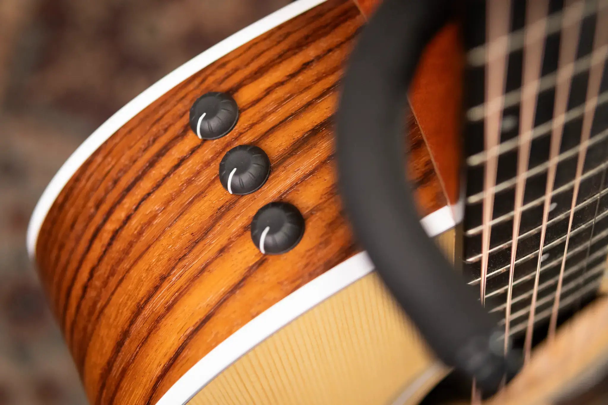 Taylor 214ce Grand Auditorium Acoustic/Electric Guitar - Rosewood with Gig Bag