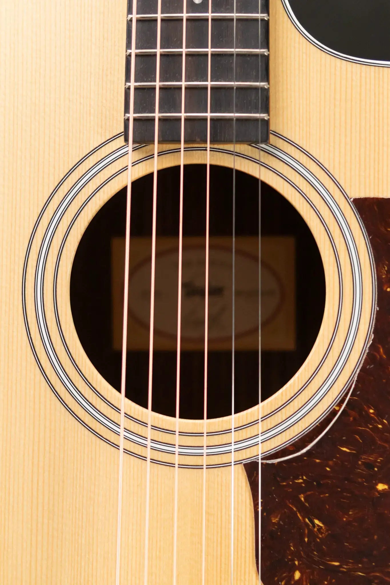 Taylor 214ce Grand Auditorium Acoustic/Electric Guitar - Rosewood with Gig Bag