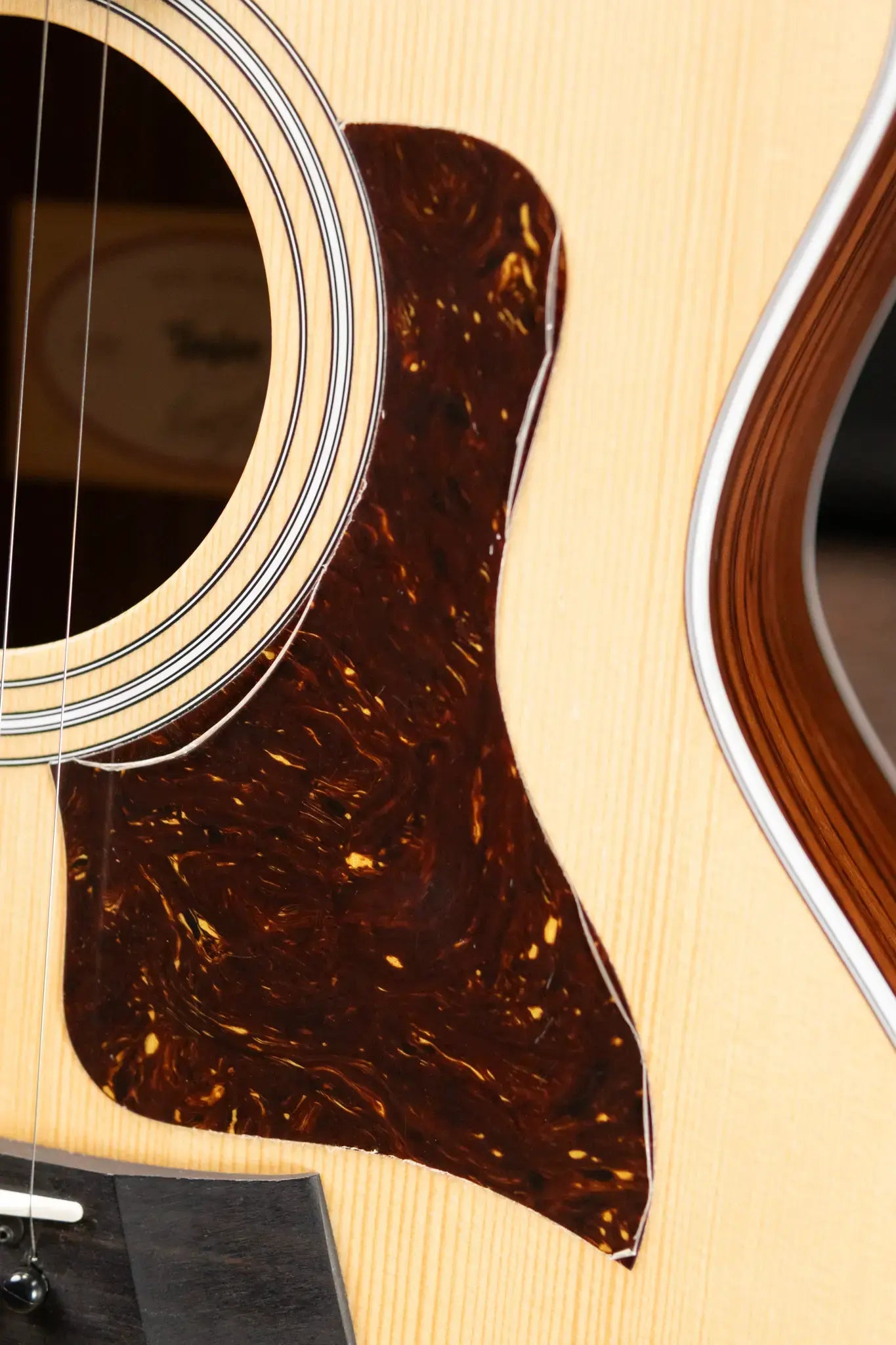 Taylor 214ce Grand Auditorium Acoustic/Electric Guitar - Rosewood with Gig Bag