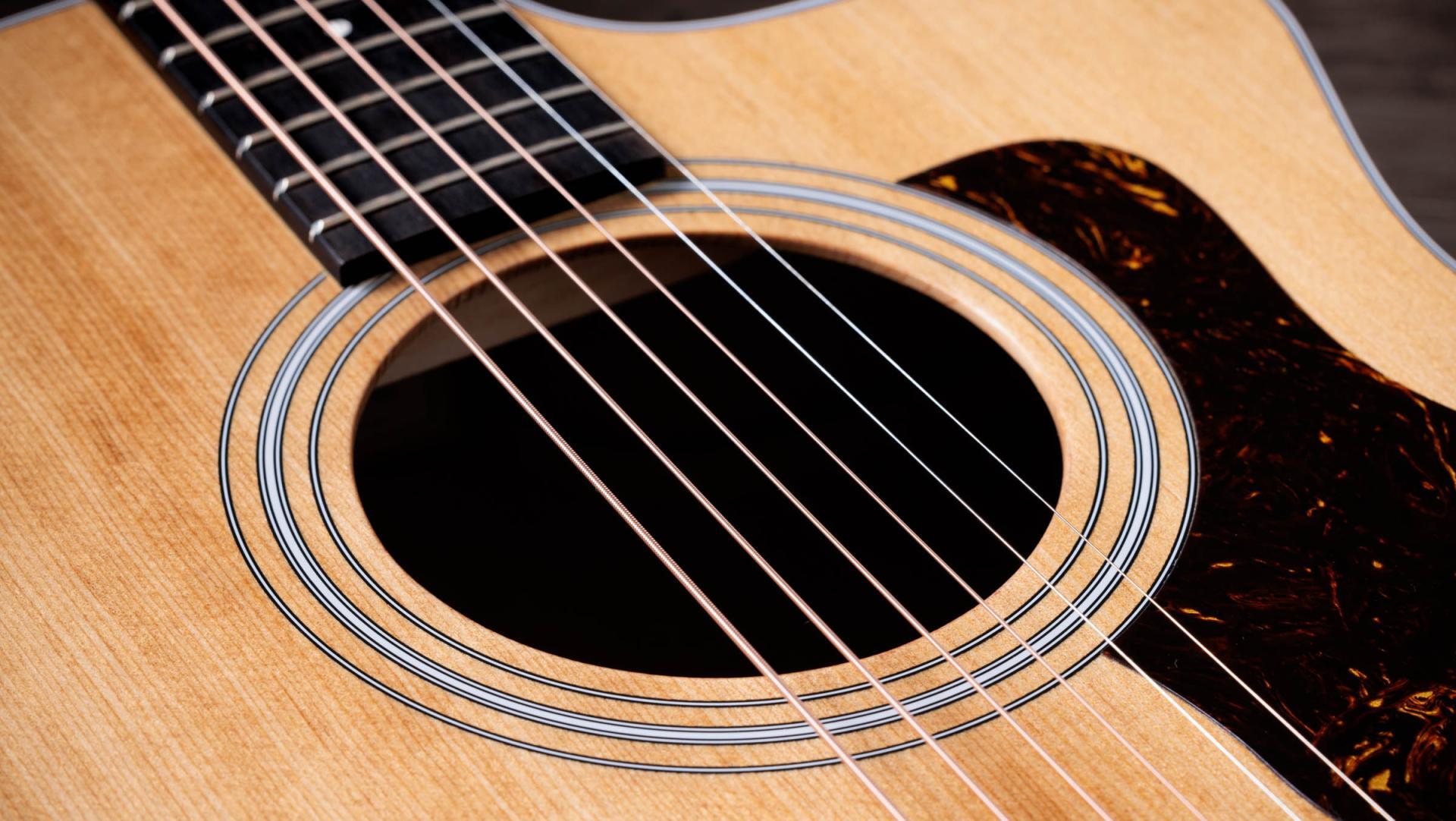 Taylor 214ce Grand Auditorium Acoustic/Electric Guitar with Gig Bag