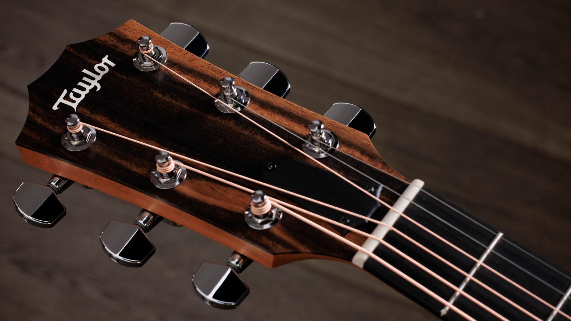 Taylor 214ce Grand Auditorium Acoustic/Electric Guitar with Gig Bag