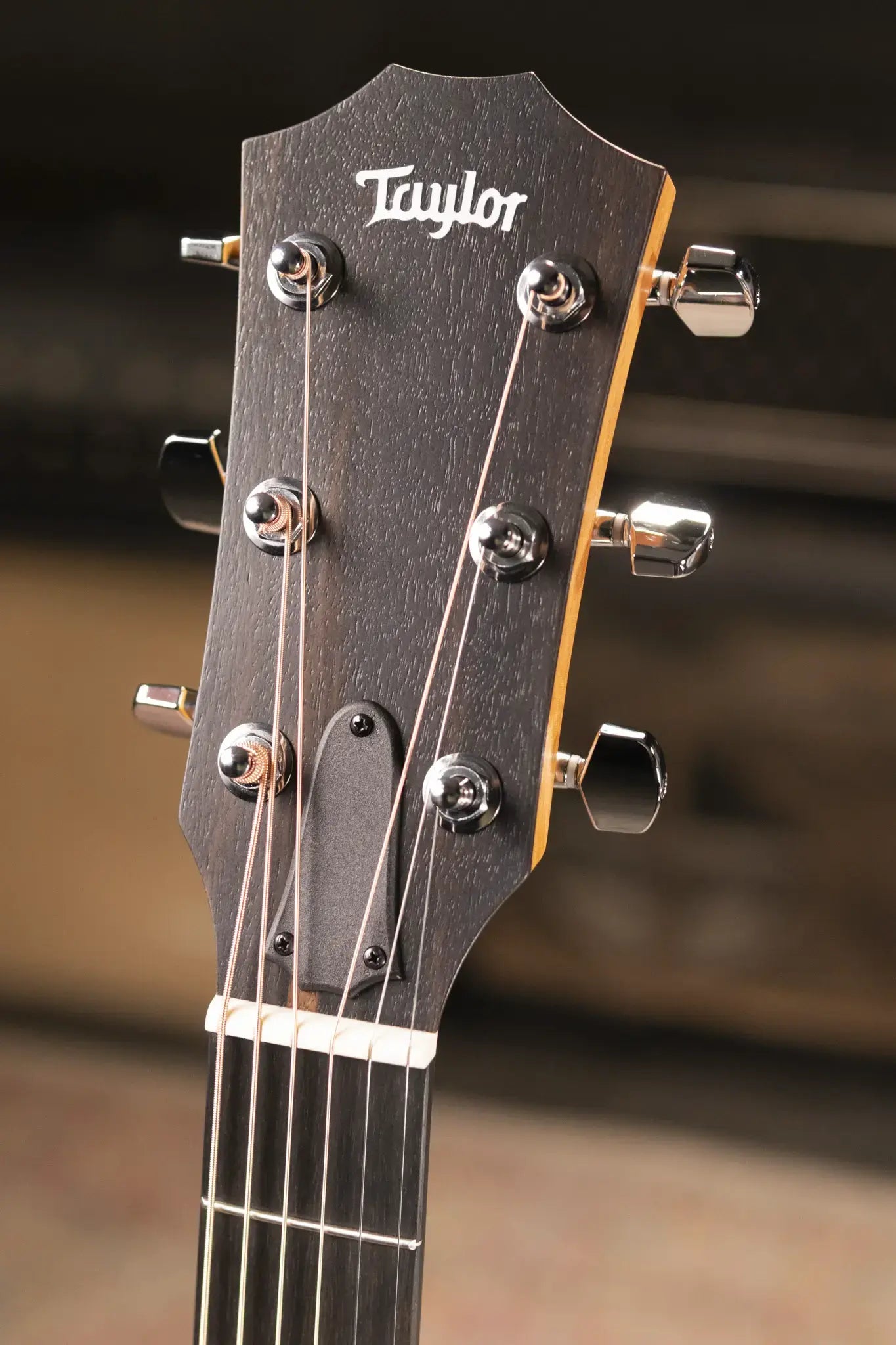 Taylor 214ce Grand Auditorium Acoustic/Electric Guitar with Gig Bag