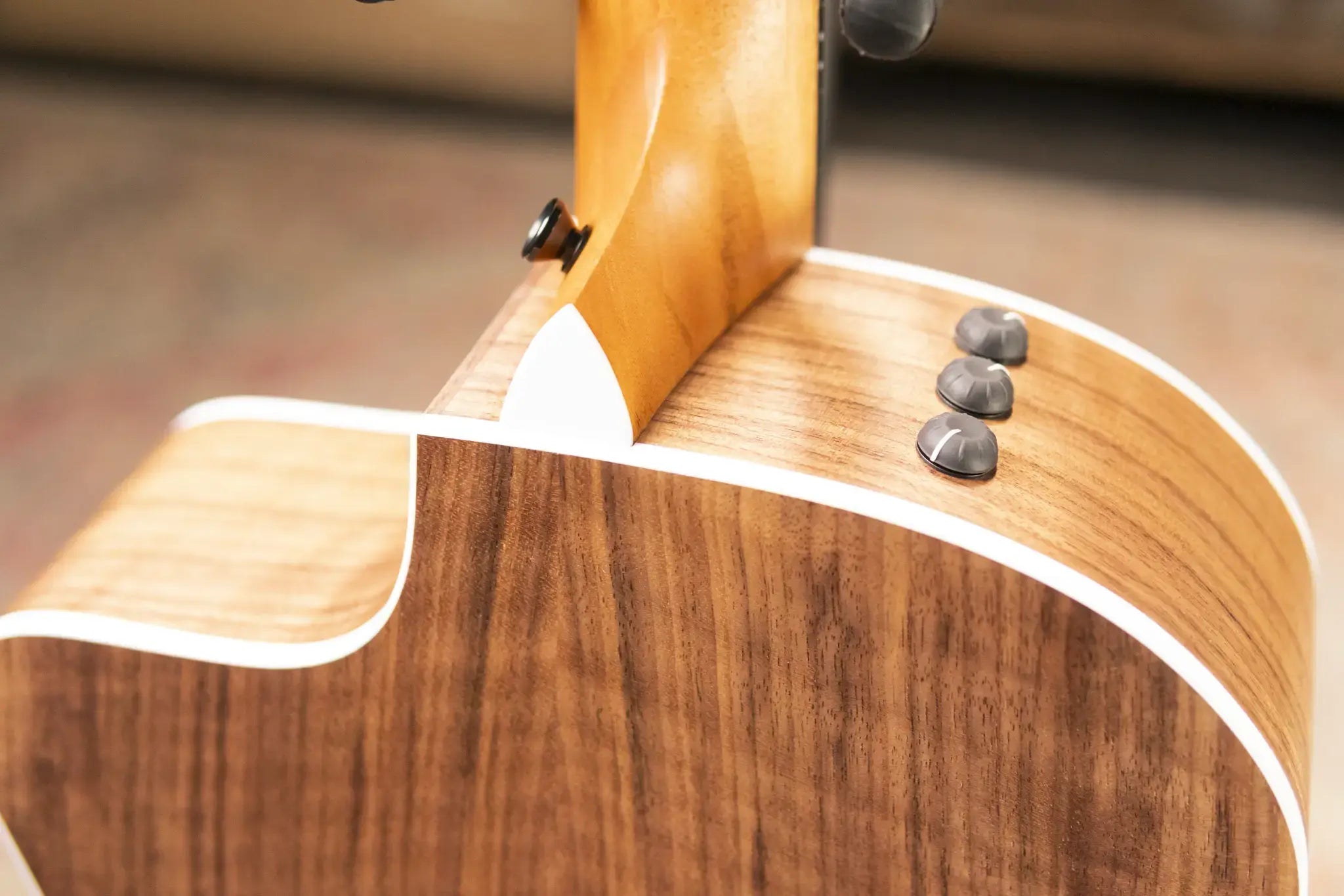 Taylor 214ce Grand Auditorium Acoustic/Electric Guitar with Gig Bag