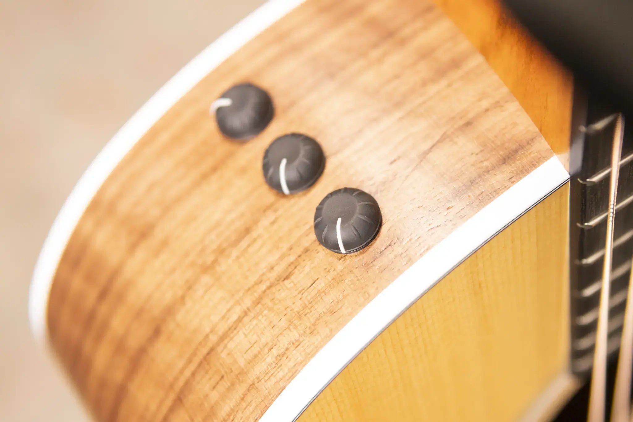 Taylor 214ce Grand Auditorium Acoustic/Electric Guitar with Gig Bag