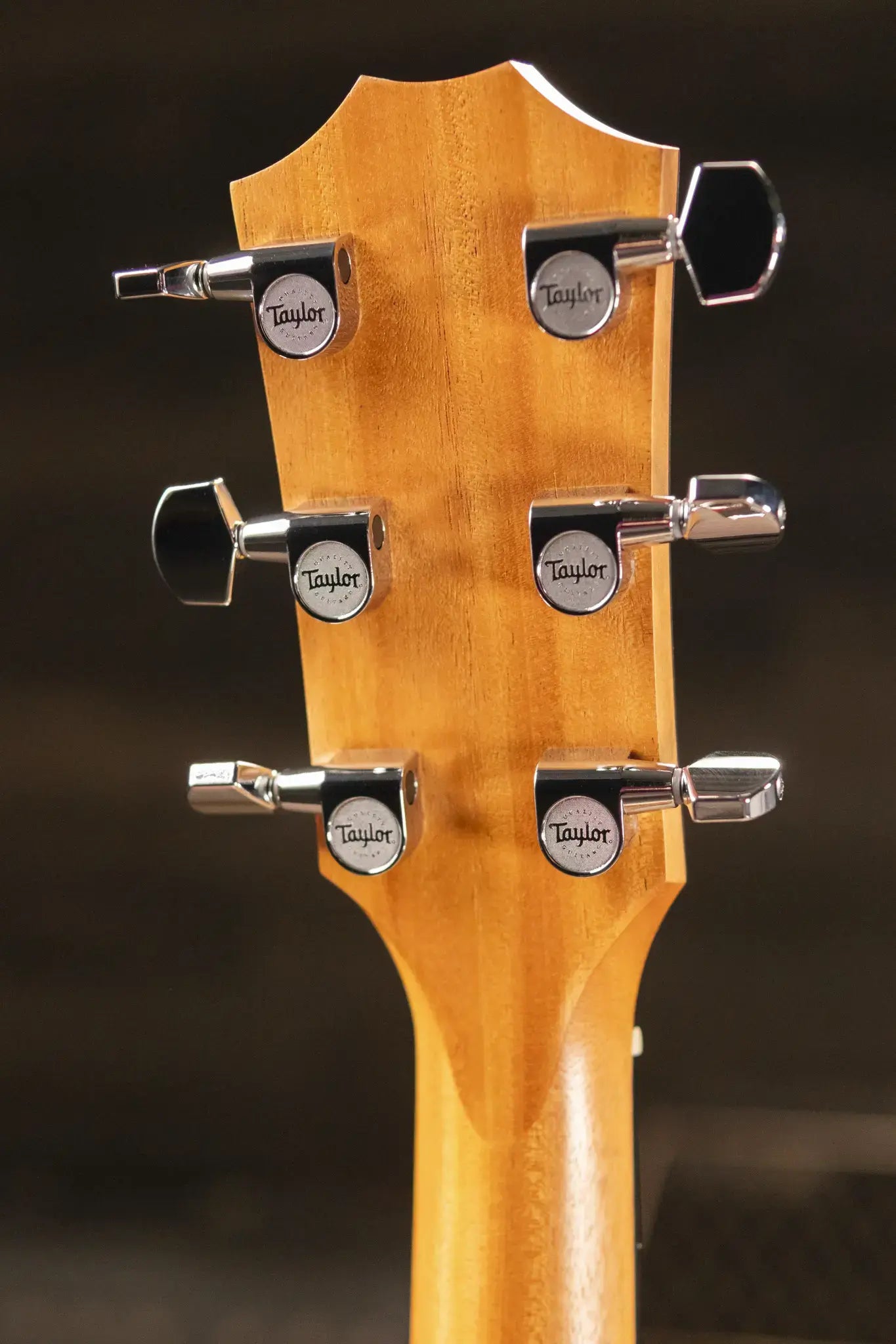 Taylor 214ce Grand Auditorium Acoustic/Electric Guitar with Gig Bag - Factory Demo