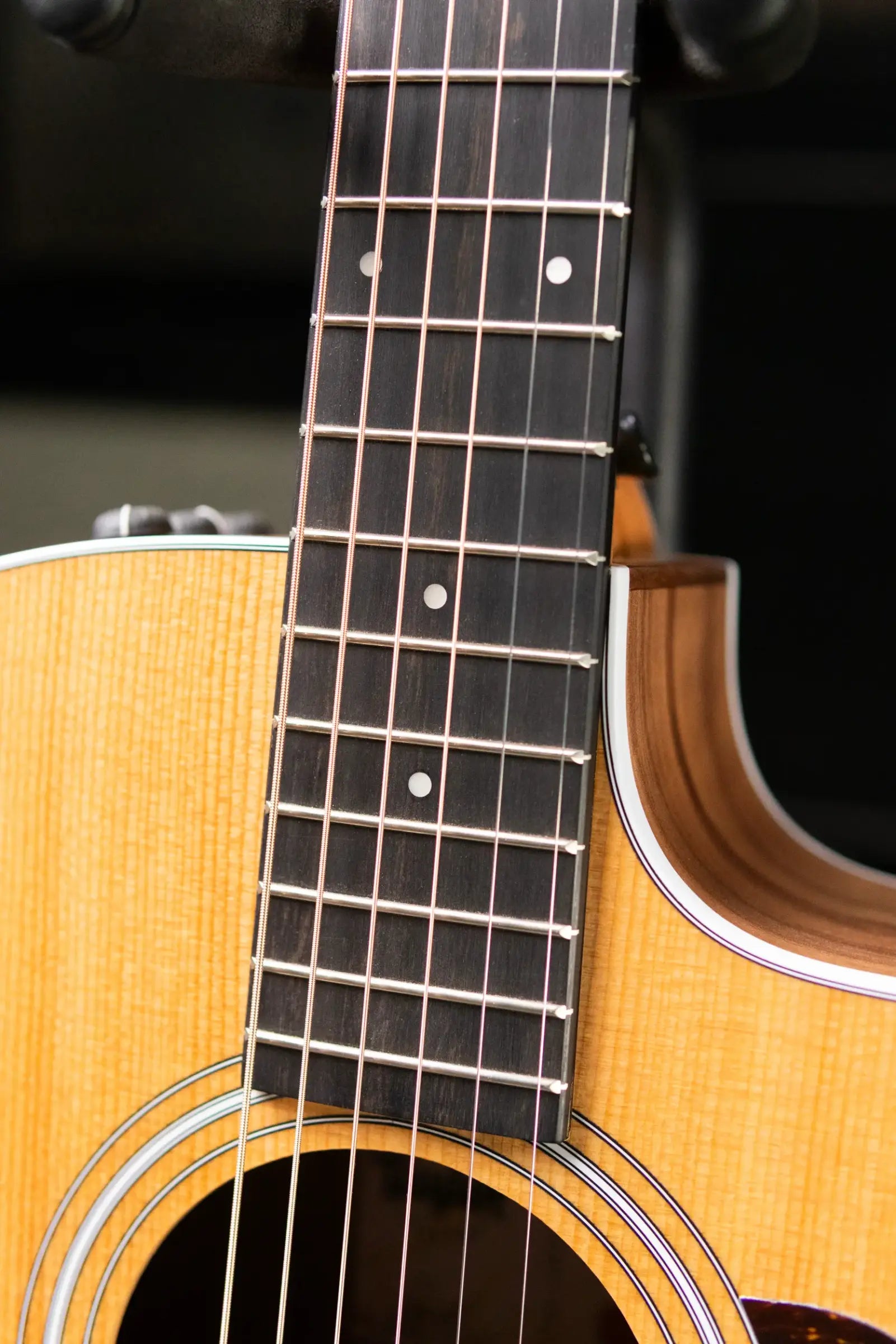 Taylor 214ce Grand Auditorium Acoustic/Electric Guitar with Gig Bag