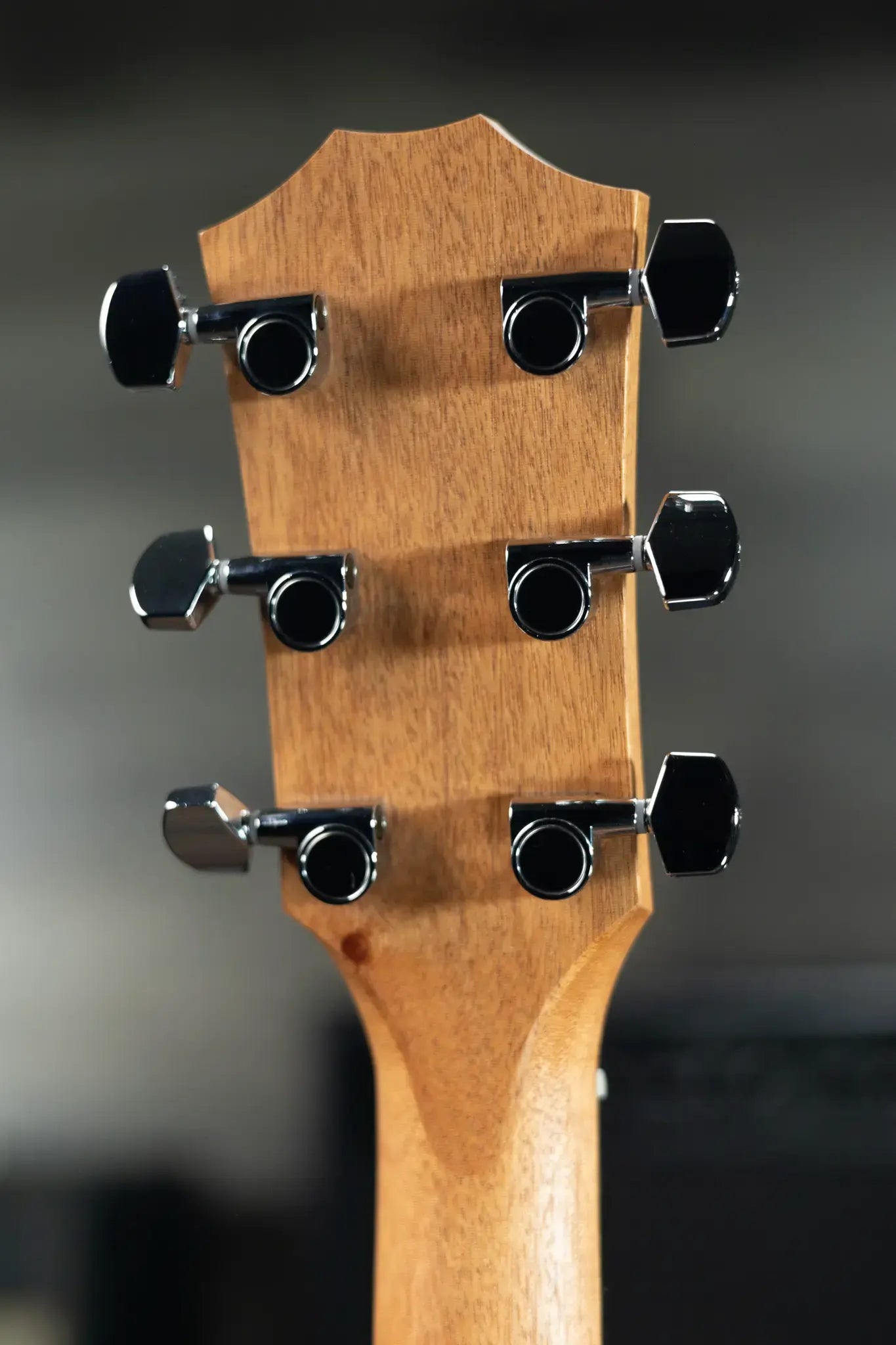 Taylor 214ce Grand Auditorium Acoustic/Electric Guitar with Gig Bag