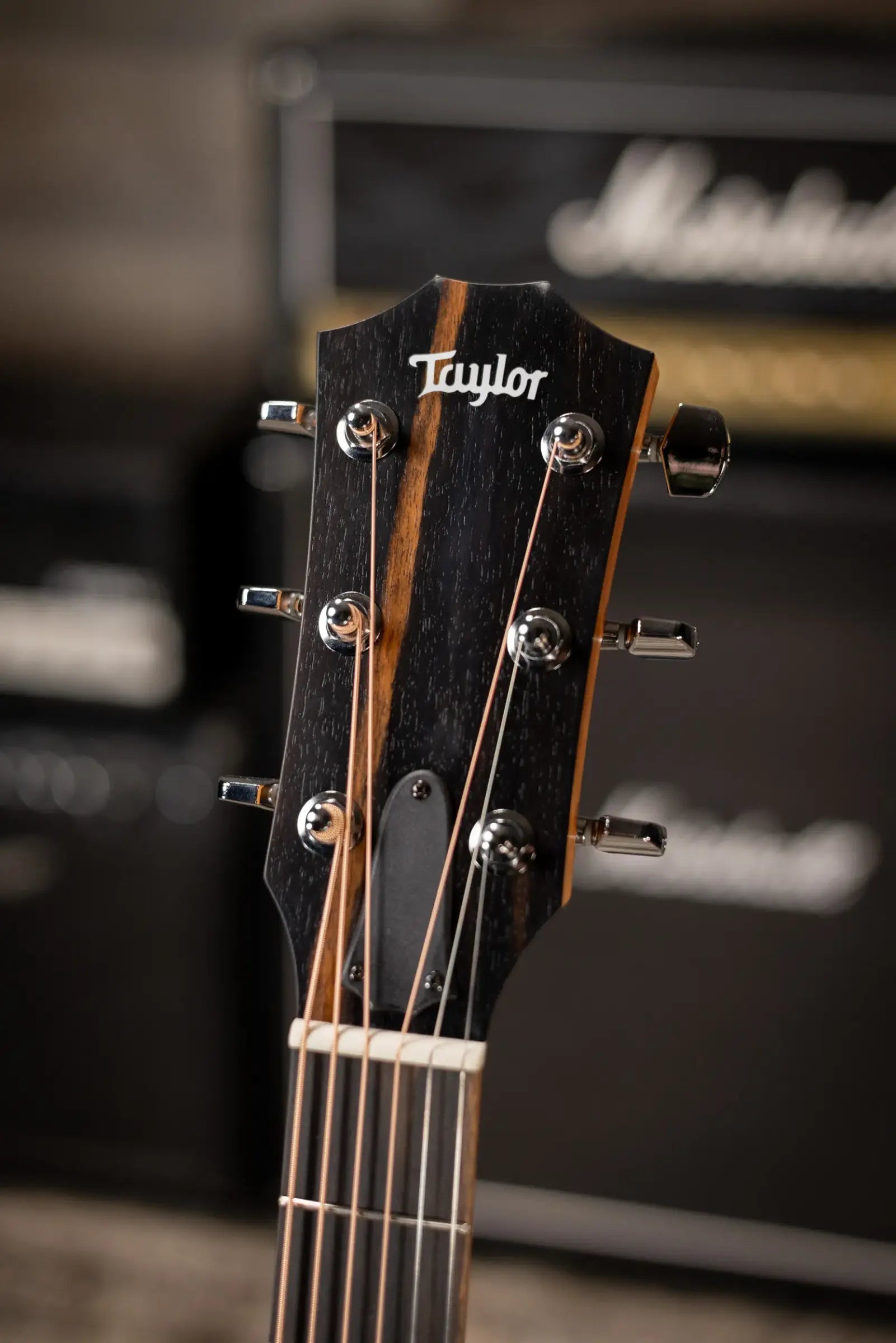 Taylor 214ce Grand Auditorium Acoustic/Electric Guitar with Gig Bag