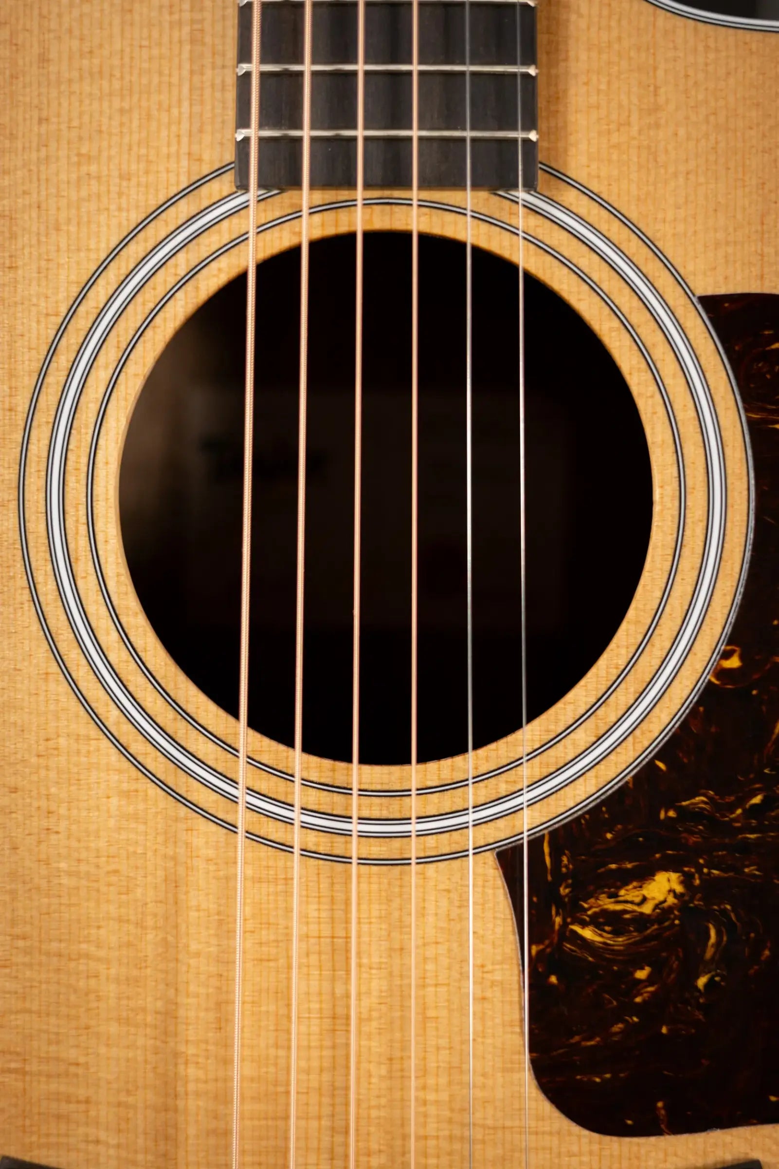 Taylor 214ce Grand Auditorium Acoustic/Electric Guitar with Gig Bag