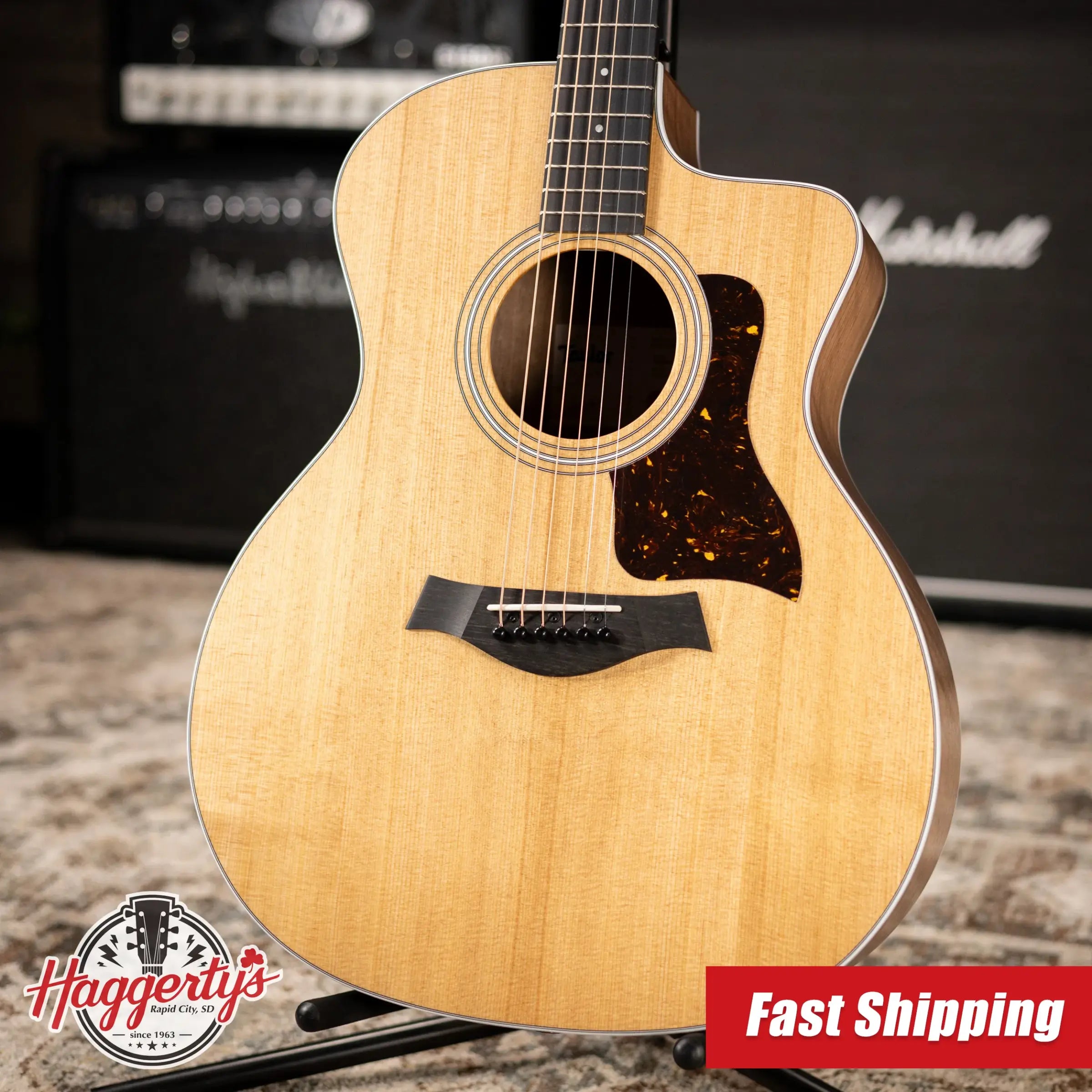 Taylor 214ce Grand Auditorium Acoustic/Electric Guitar with Gig Bag