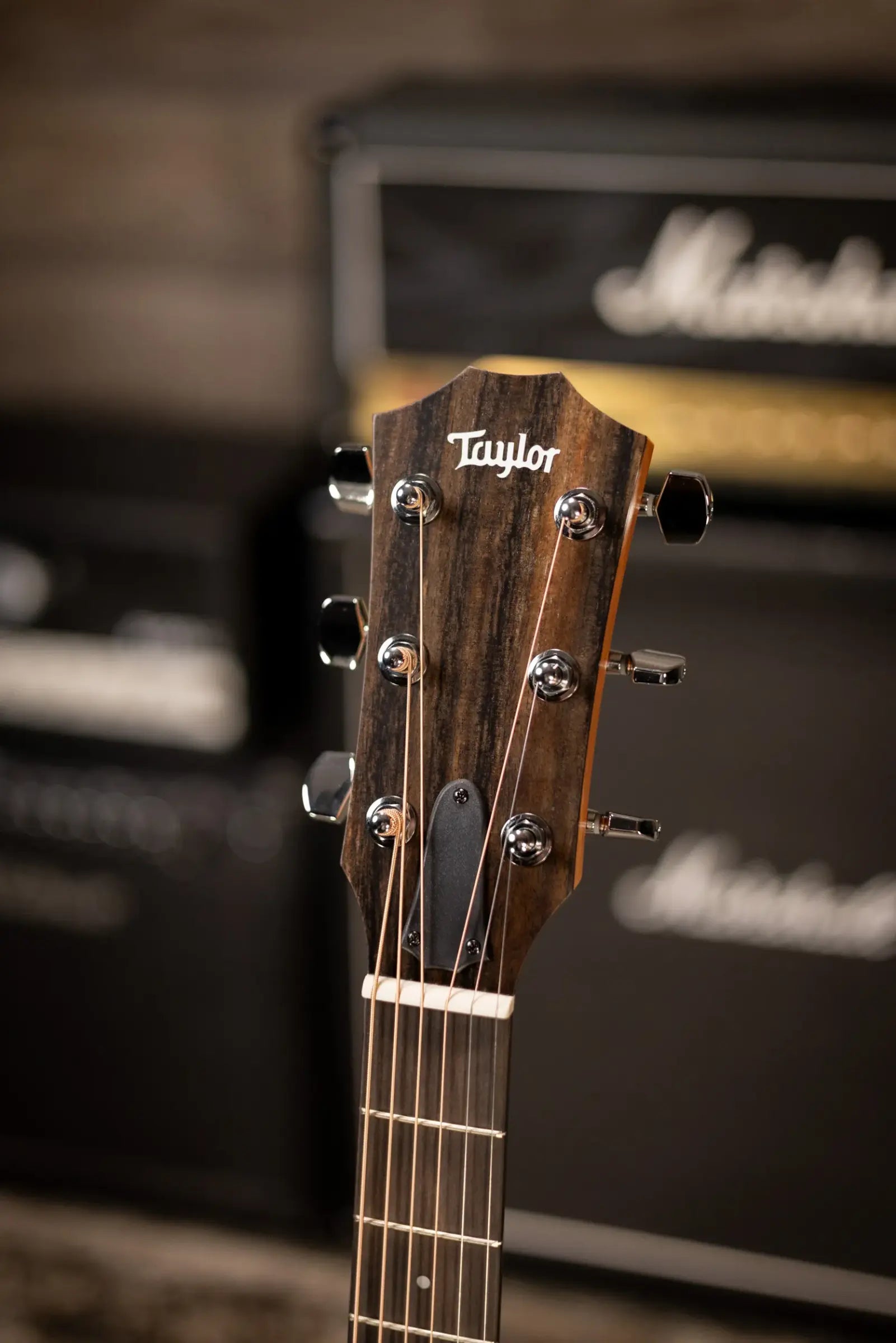 Taylor 214ce Grand Auditorium Acoustic/Electric Guitar with Gig Bag
