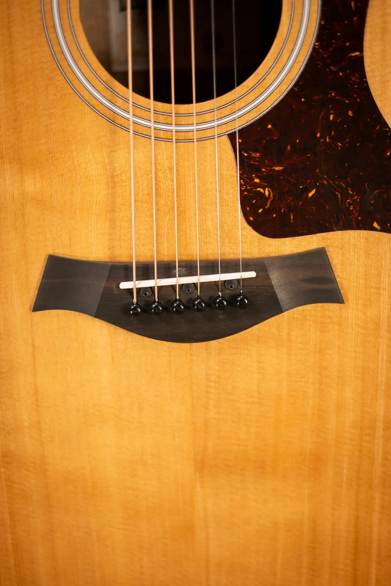 Taylor 214ce Grand Auditorium Acoustic/Electric Guitar with Gig Bag