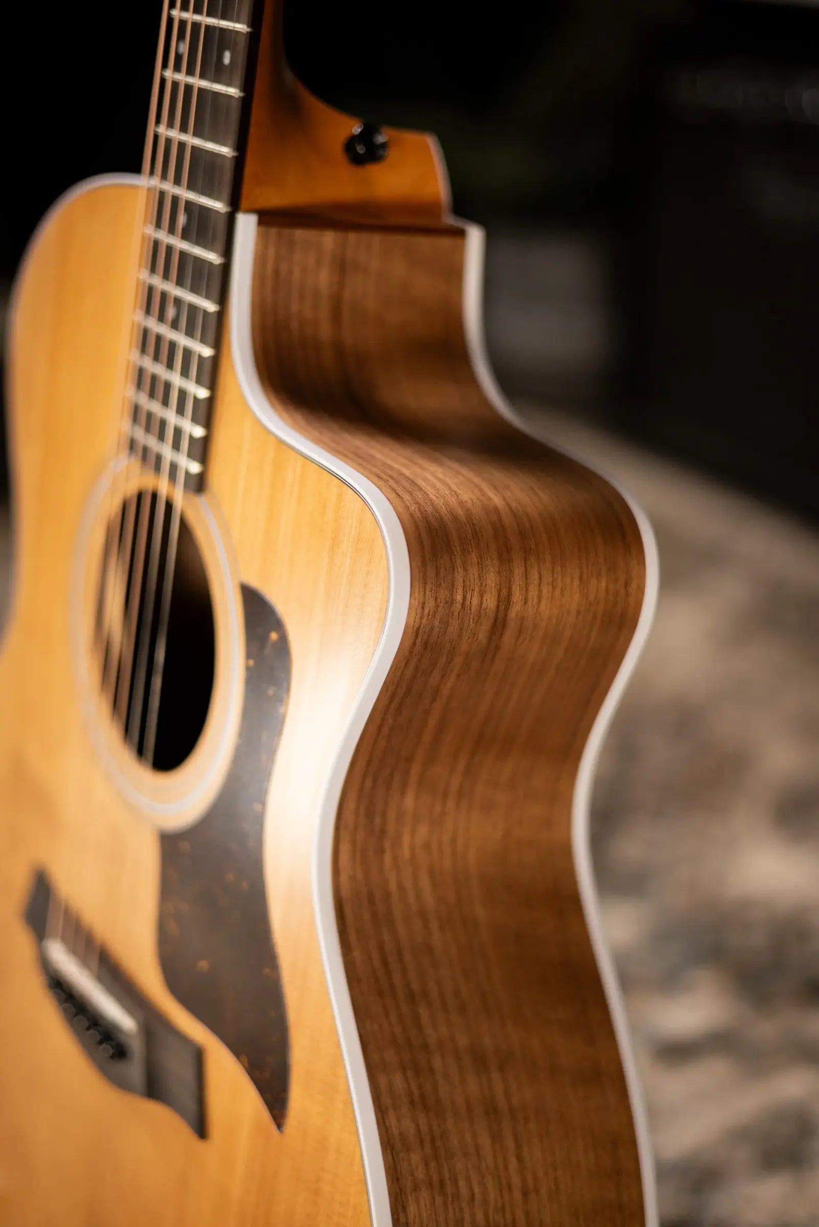 Taylor 214ce Grand Auditorium Acoustic/Electric Guitar with Gig Bag