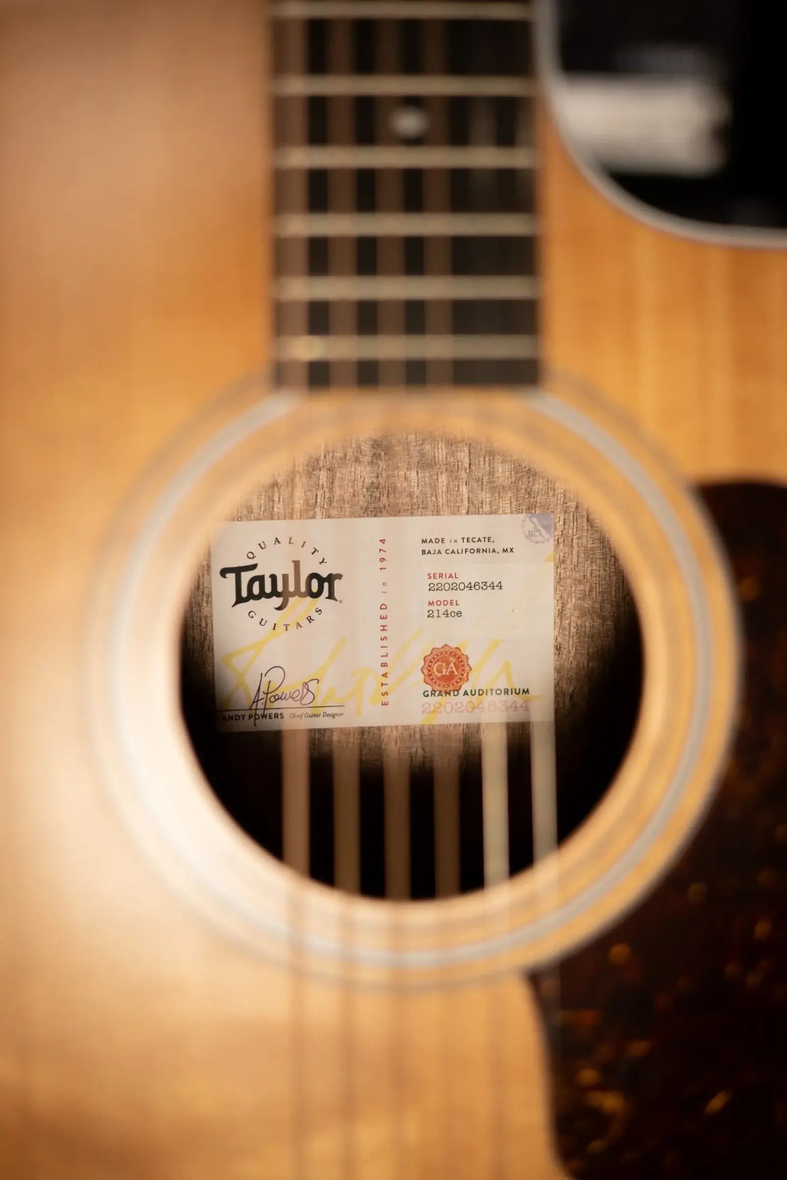 Taylor 214ce Grand Auditorium Acoustic/Electric Guitar with Gig Bag