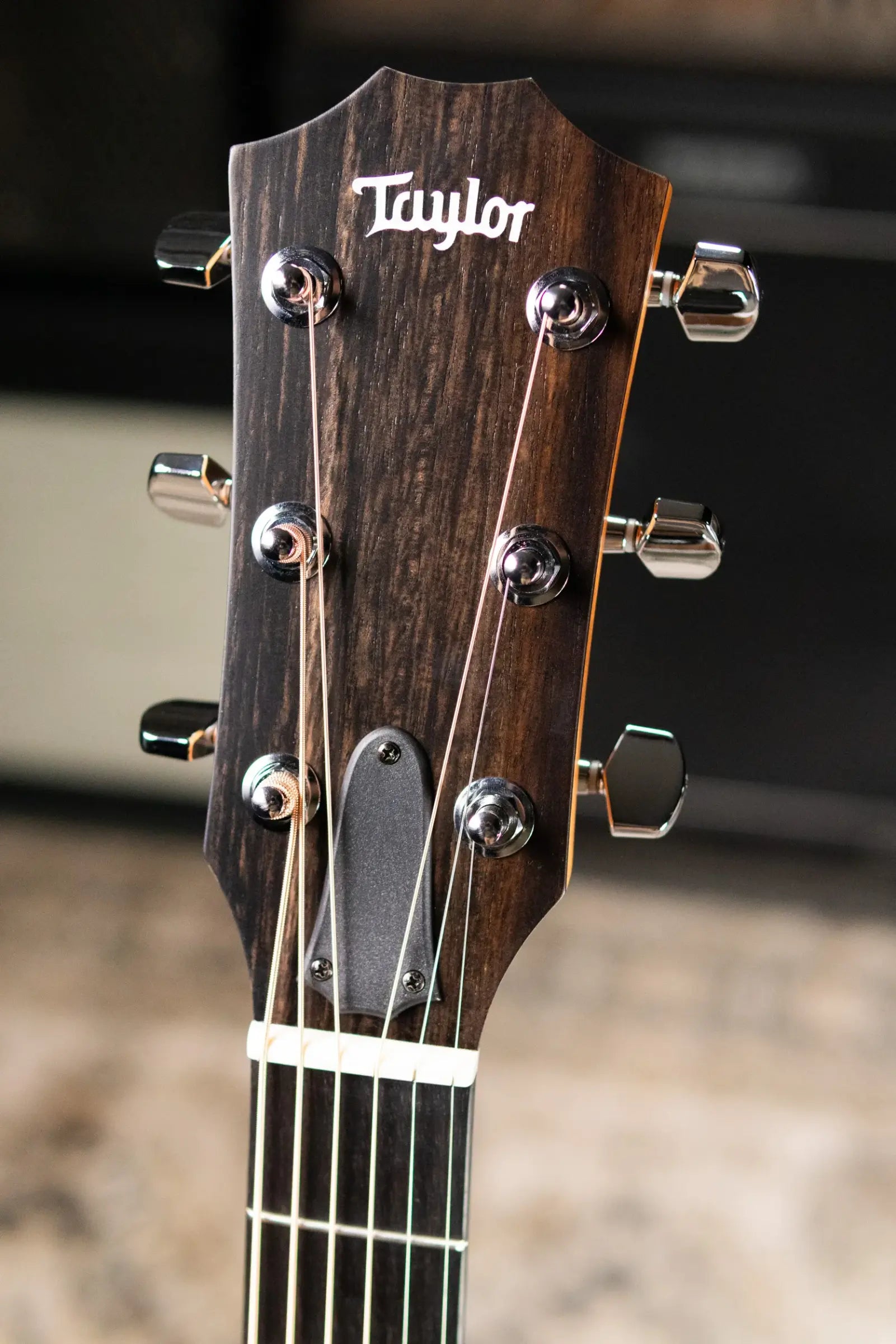 Taylor 214ce Grand Auditorium Acoustic/Electric Guitar with Gig Bag