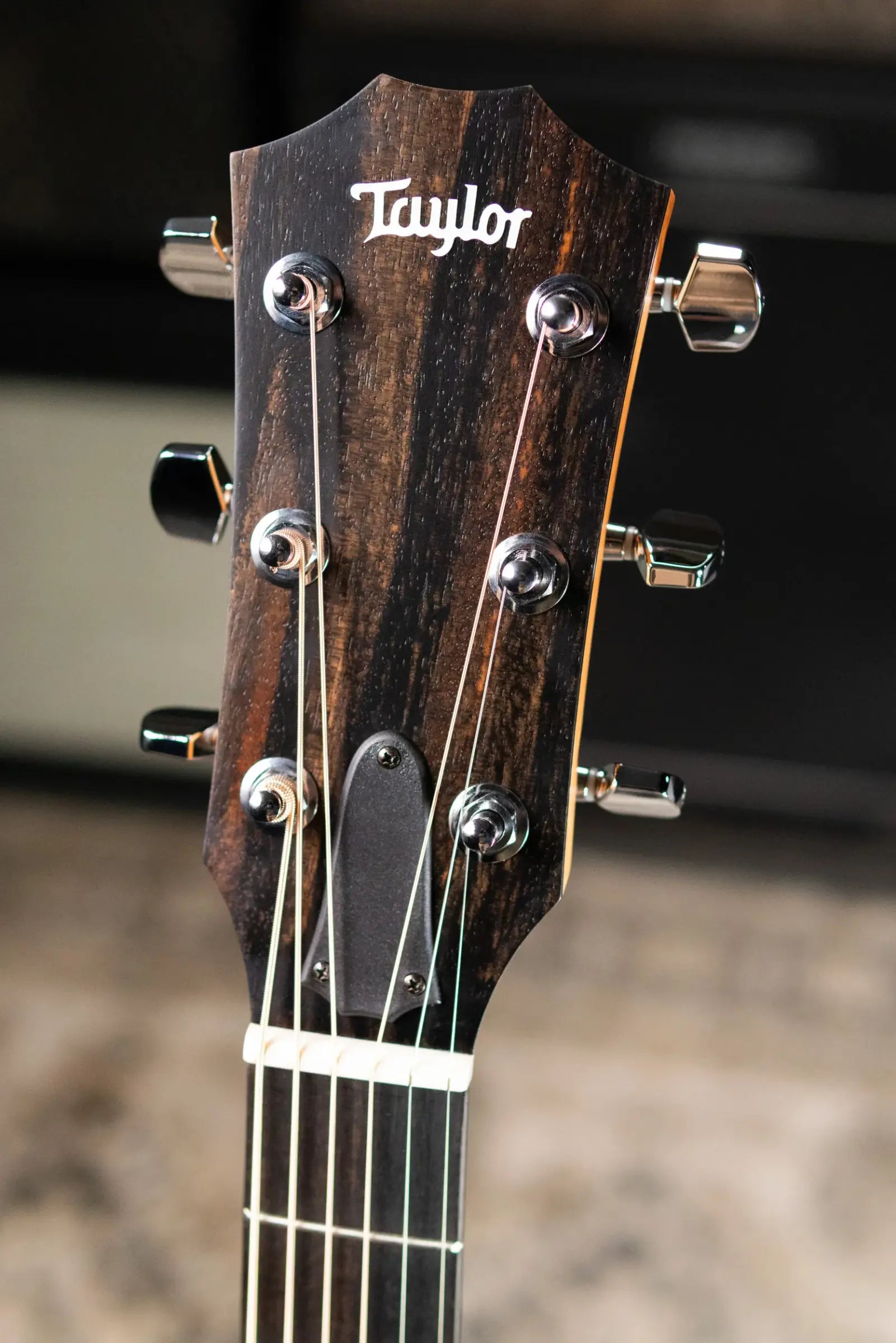 Taylor 214ce Grand Auditorium Acoustic/Electric Guitar with Gig Bag