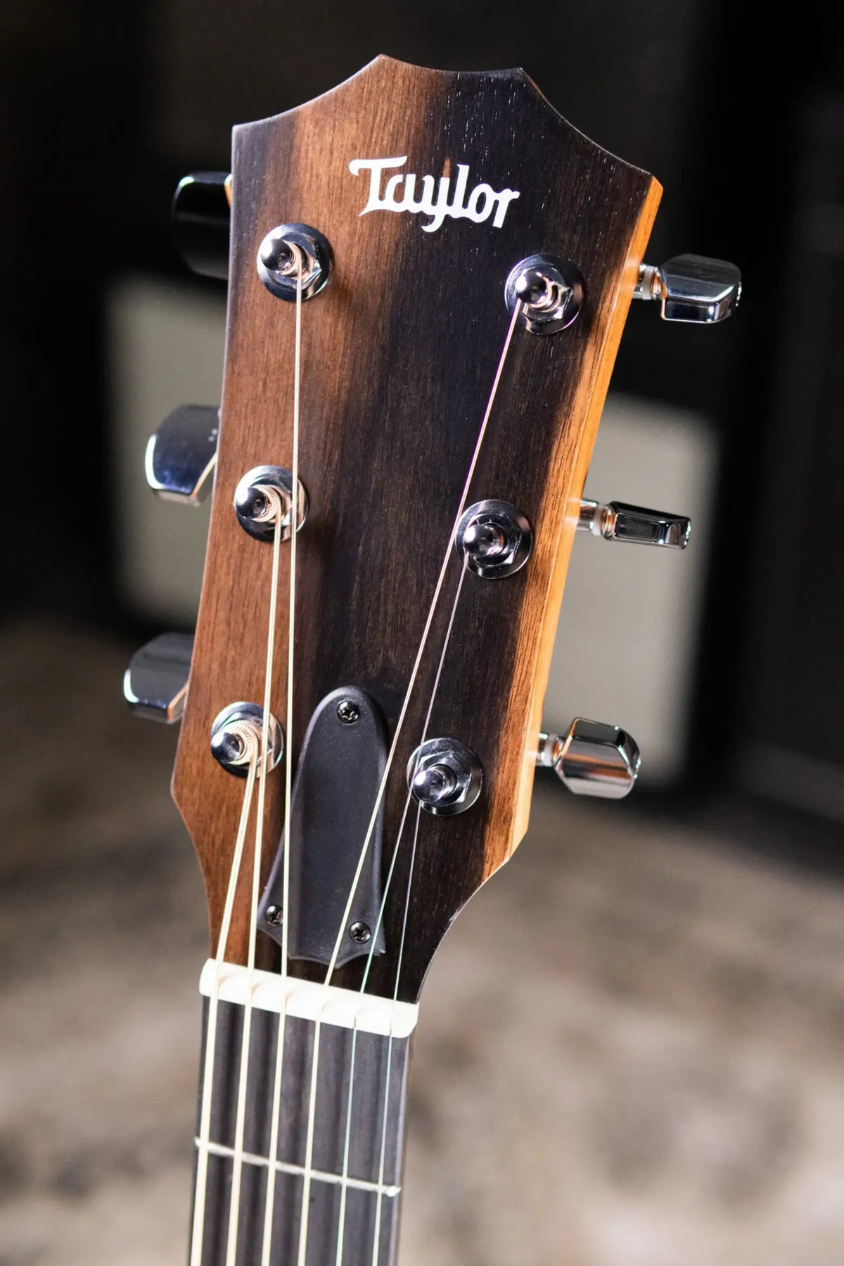 Taylor 214ce Grand Auditorium Acoustic/Electric Guitar with Gig Bag