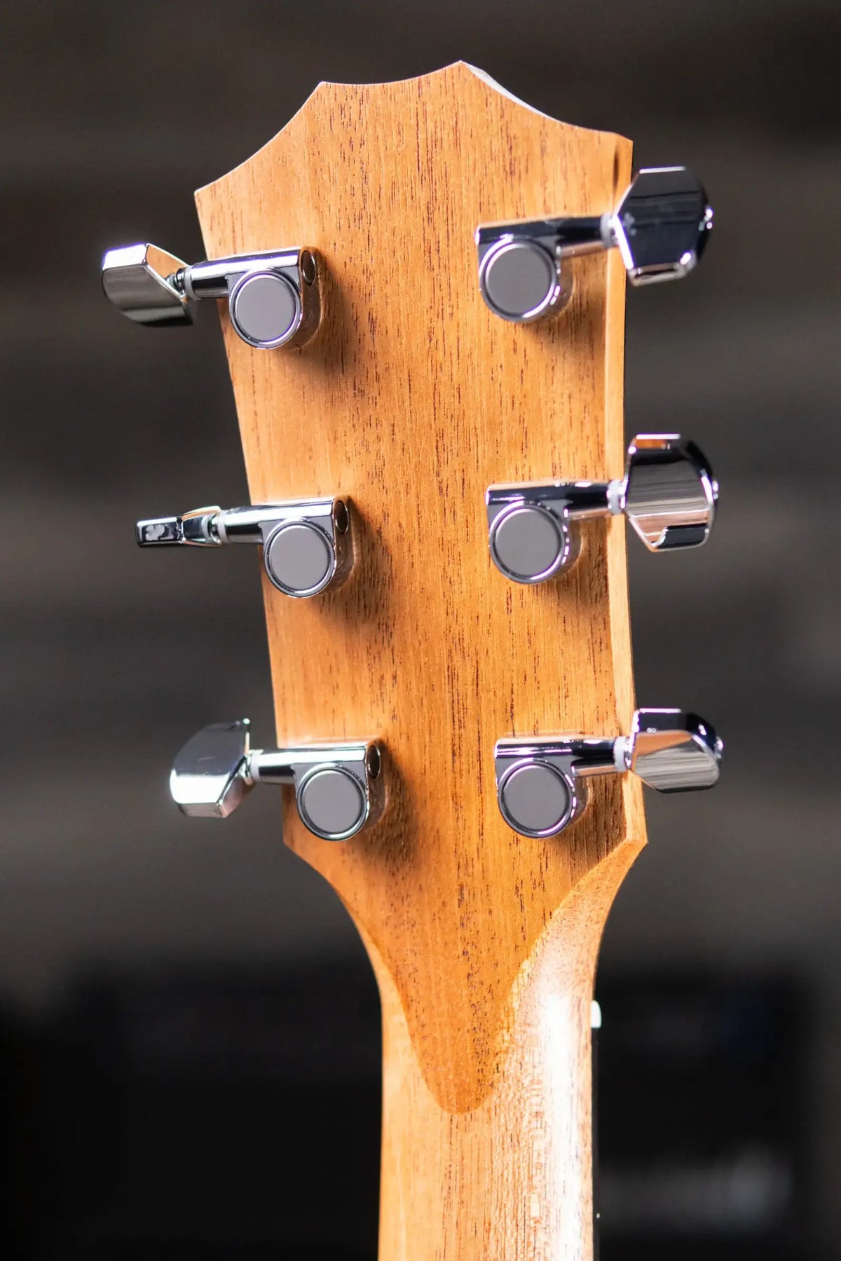 Taylor 214ce Grand Auditorium Acoustic/Electric Guitar with Gig Bag