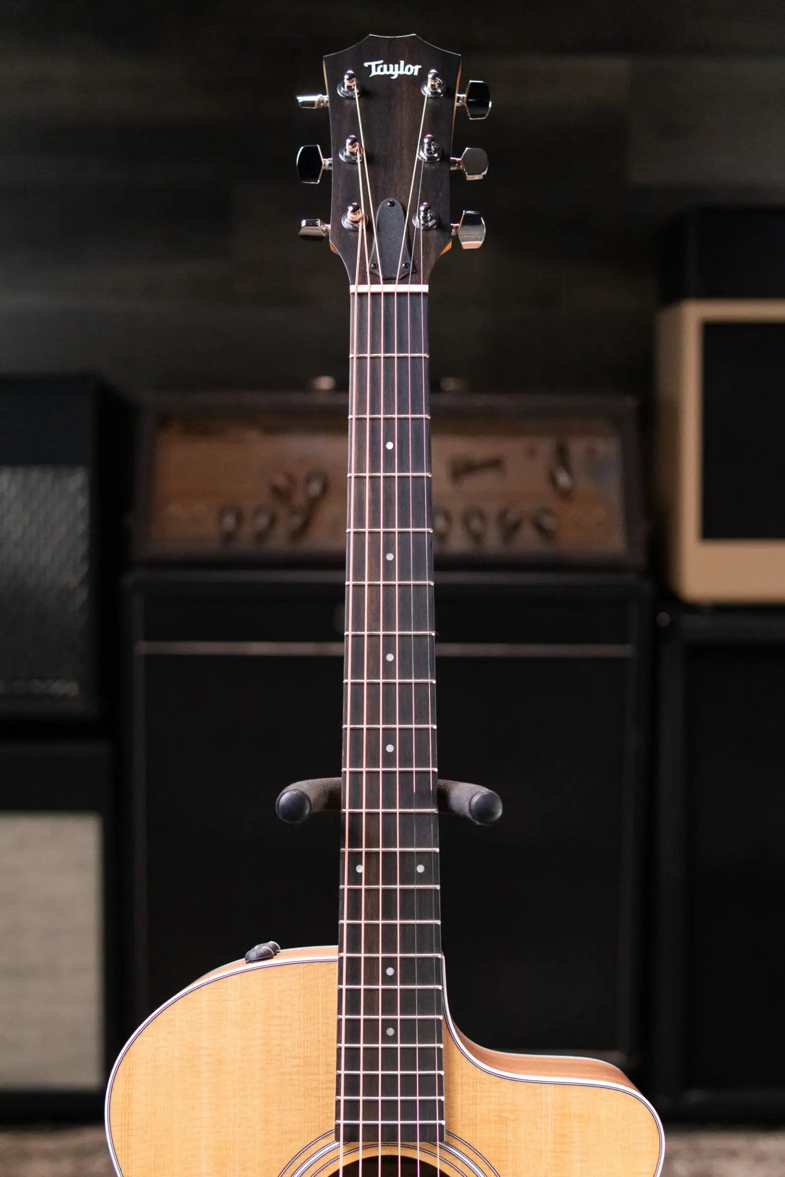 Taylor 214ce Grand Auditorium Acoustic/Electric Guitar with Gig Bag - Floor Model Demo