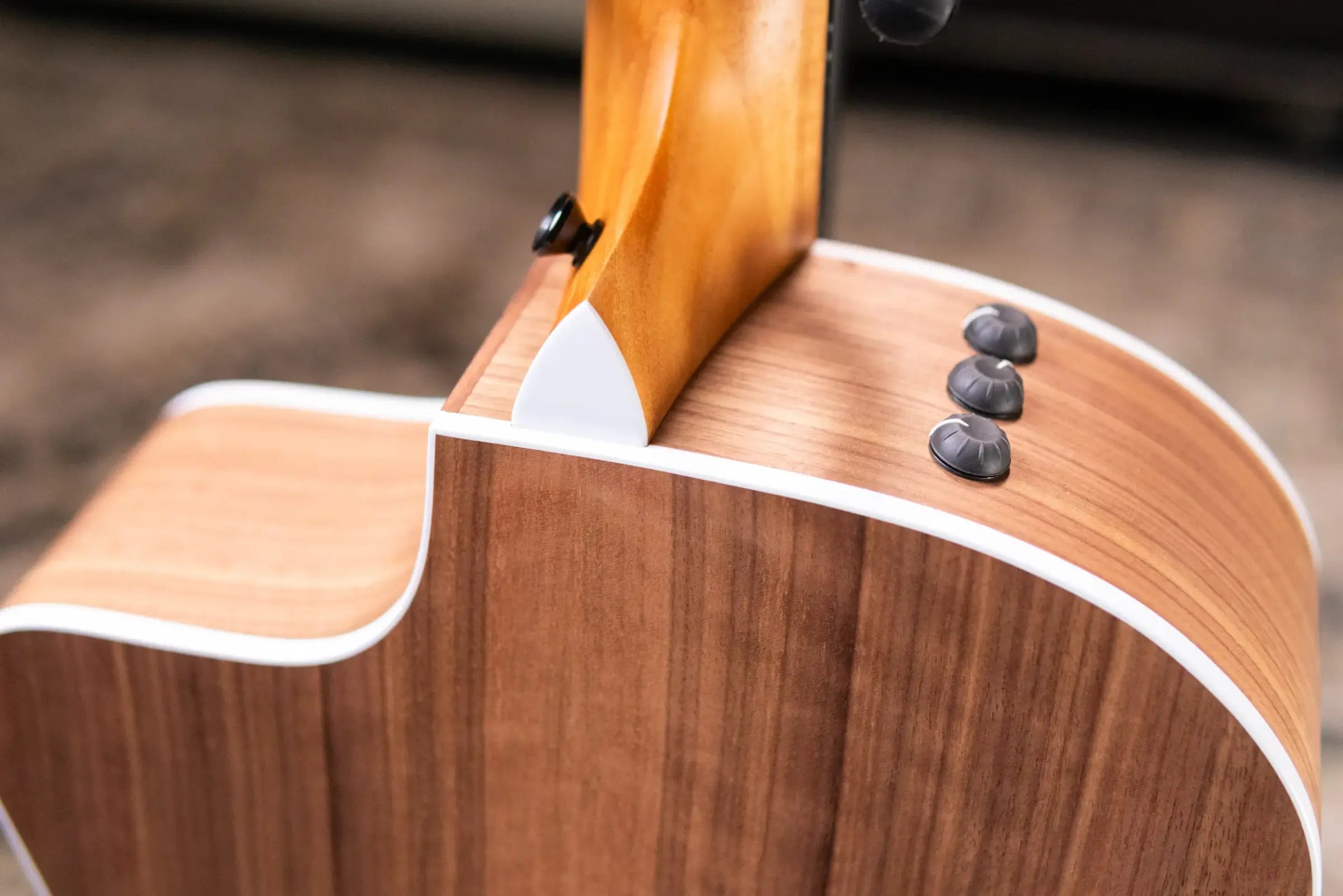 Taylor 214ce Grand Auditorium Acoustic/Electric Guitar with Gig Bag - Floor Model Demo