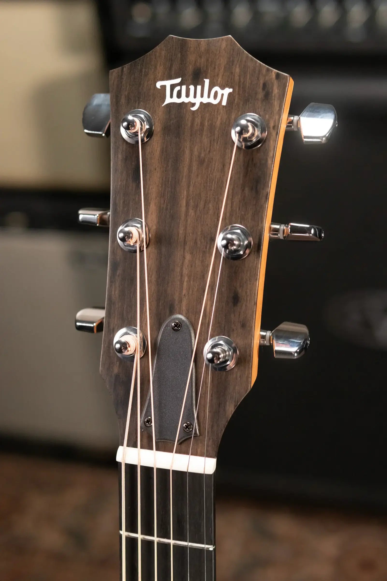 Taylor 214ce Grand Auditorium Acoustic-Electric Guitar with Structured Gig Bag