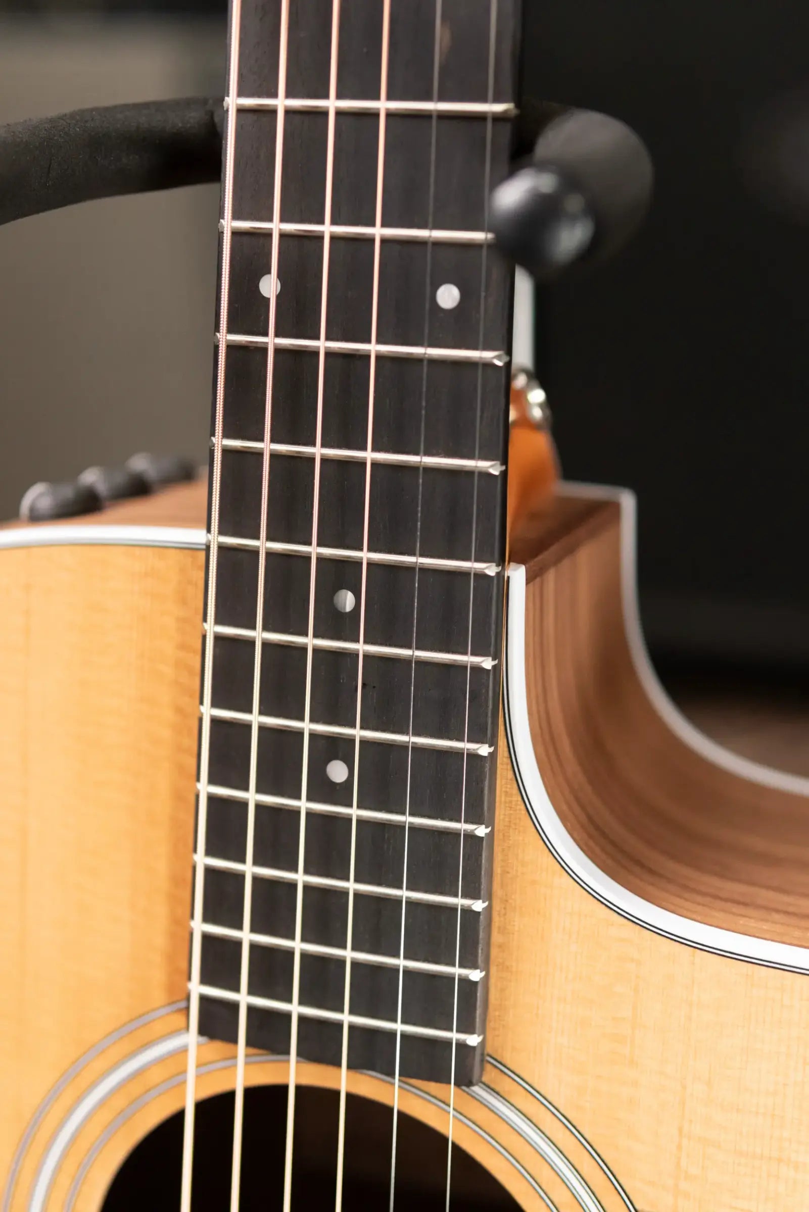 Taylor 214ce Grand Auditorium Acoustic-Electric Guitar with Structured Gig Bag