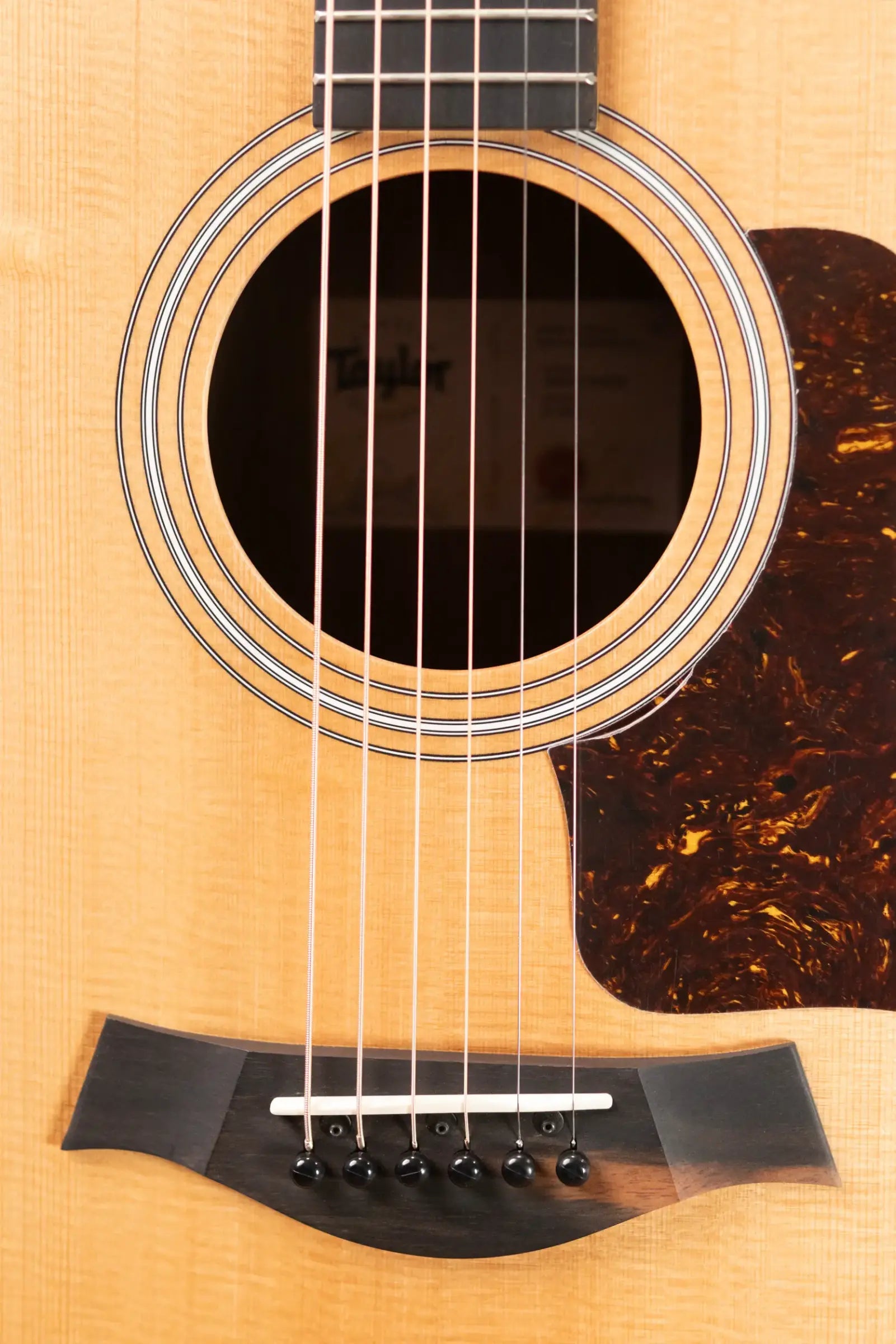 Taylor 214ce Grand Auditorium Acoustic-Electric Guitar with Structured Gig Bag