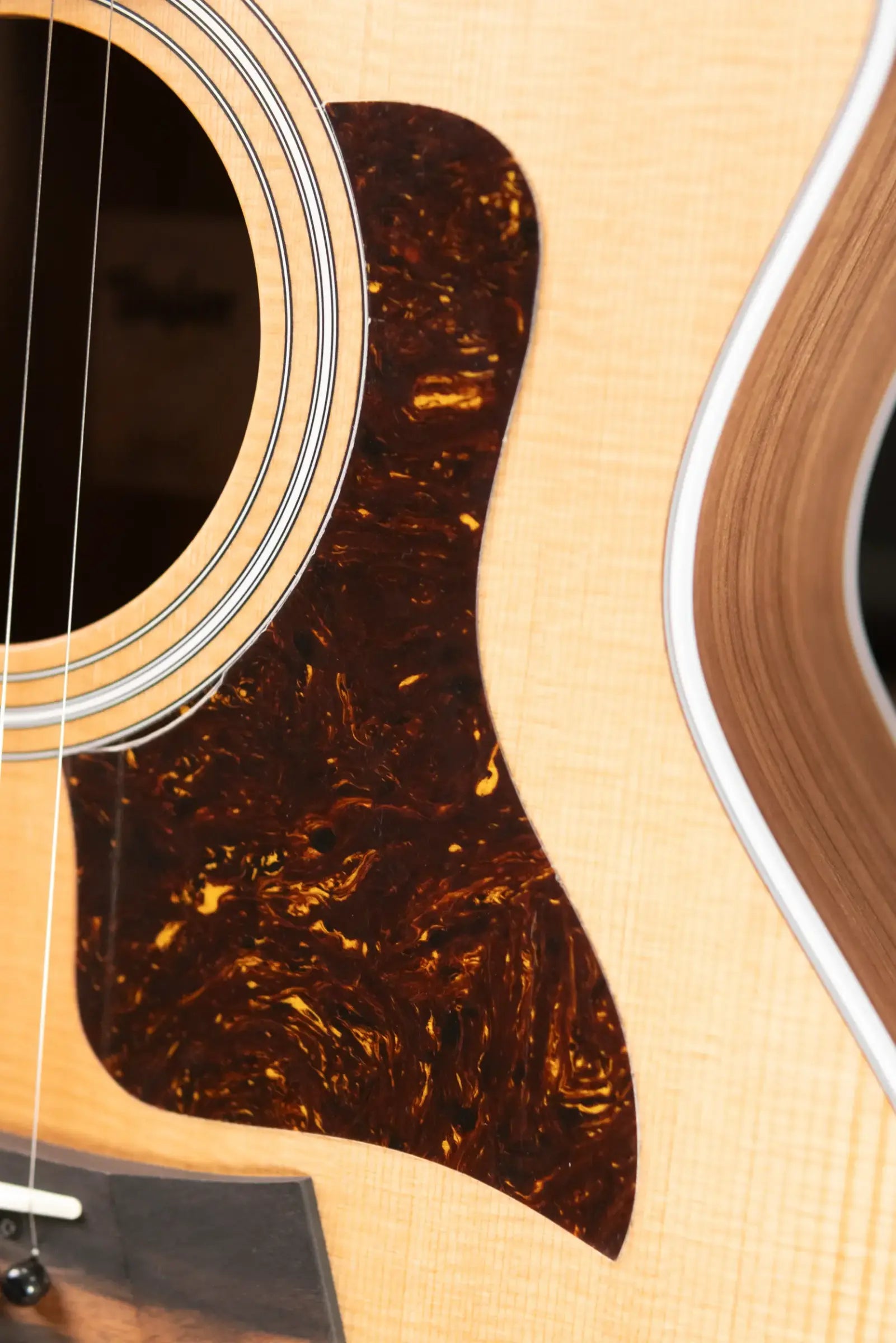Taylor 214ce Grand Auditorium Acoustic-Electric Guitar with Structured Gig Bag