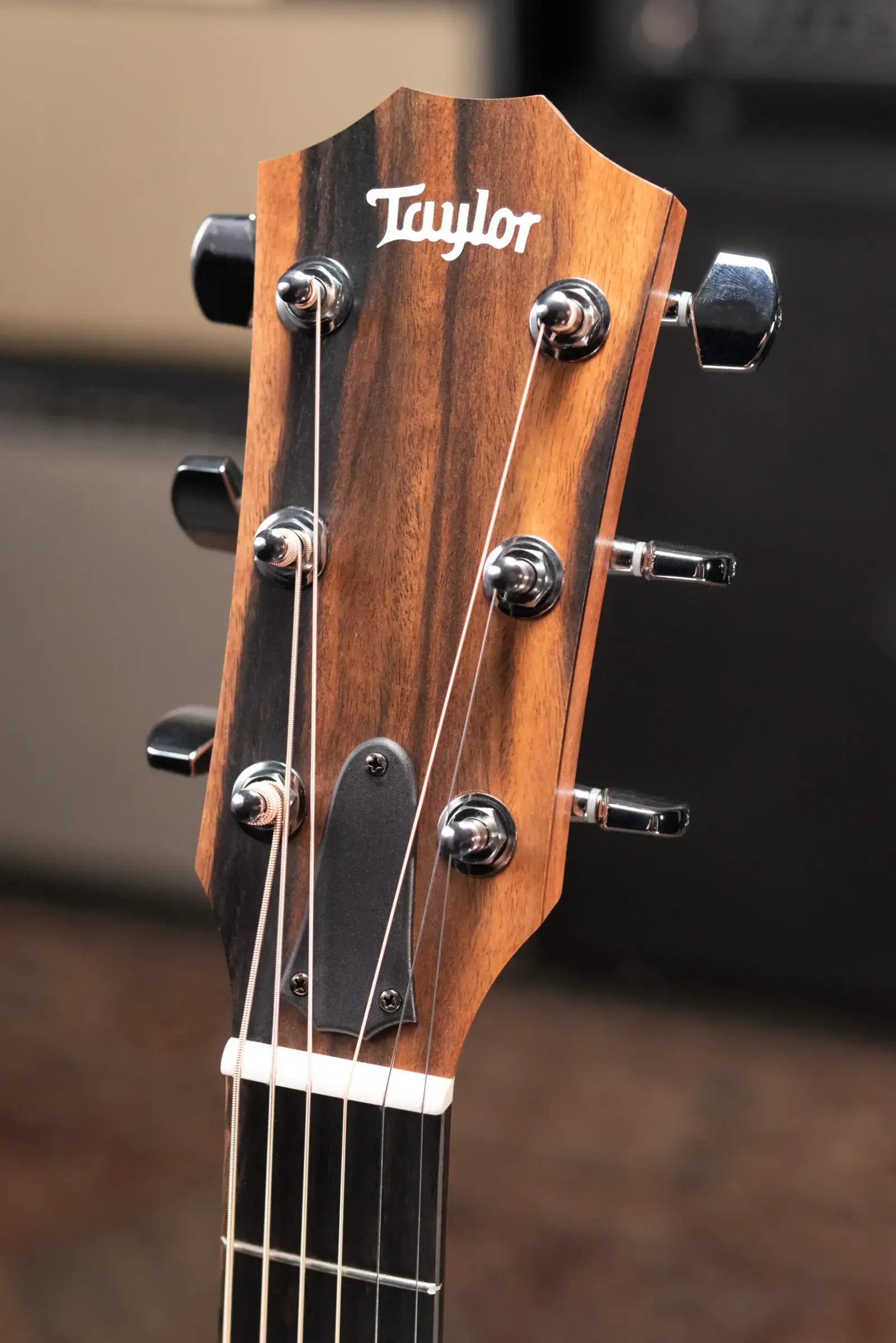 Taylor 214ce Grand Auditorium Acoustic/Electric Guitar with Structured Gig Bag