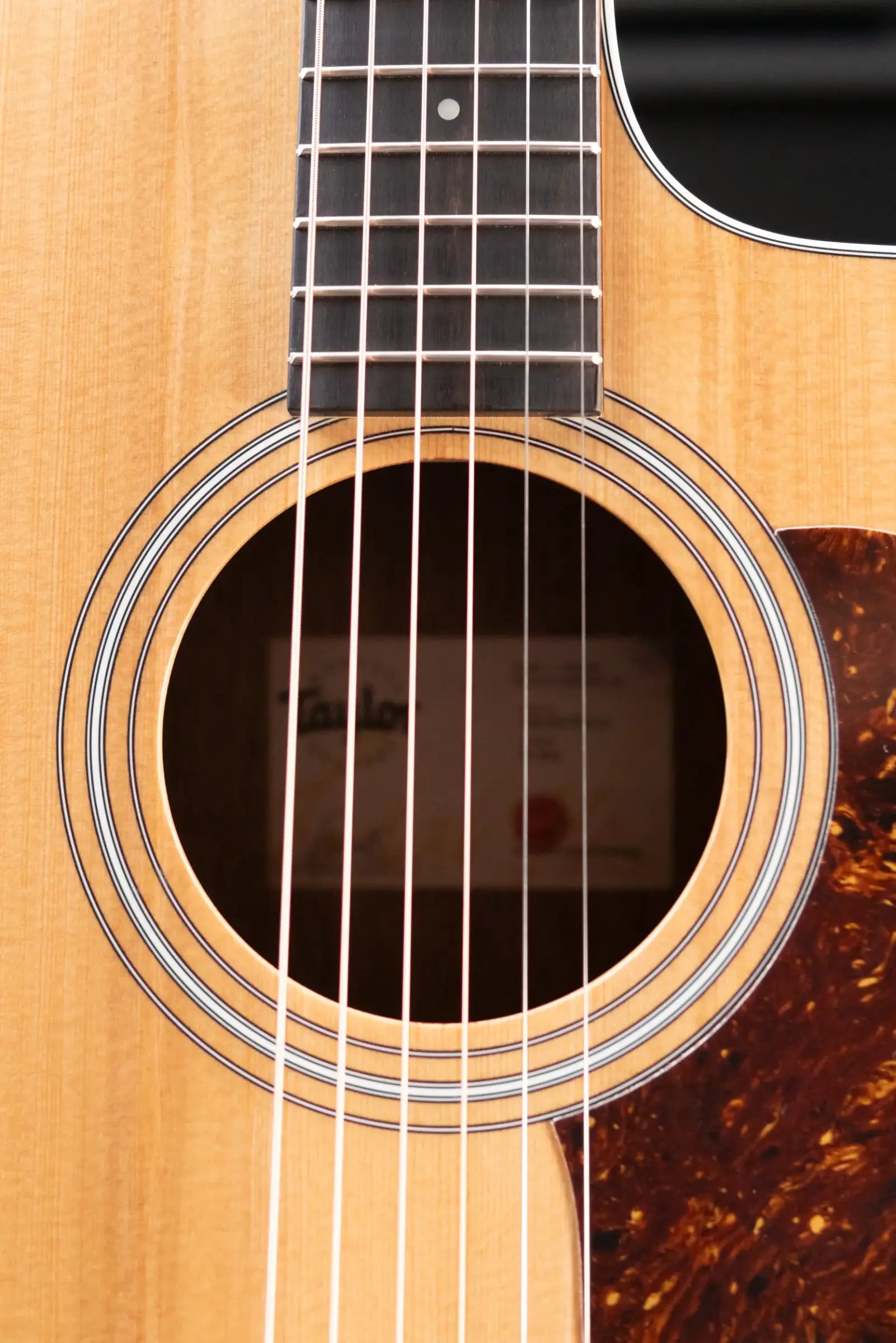 Taylor 214ce Grand Auditorium Acoustic/Electric Guitar with Structured Gig Bag