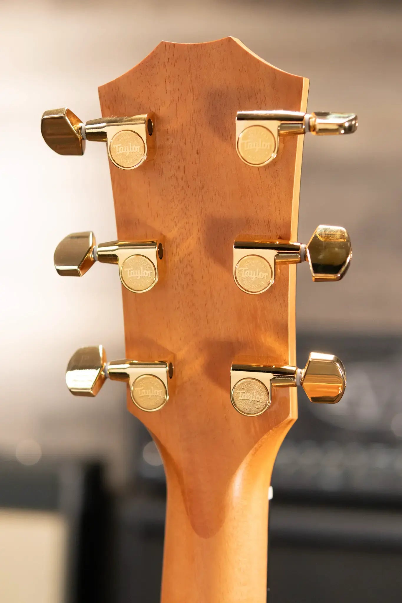 Taylor 214ce-K DLX Grand Auditorium Acoustic/Electric Guitar with Hardshell Case - Factory Demo