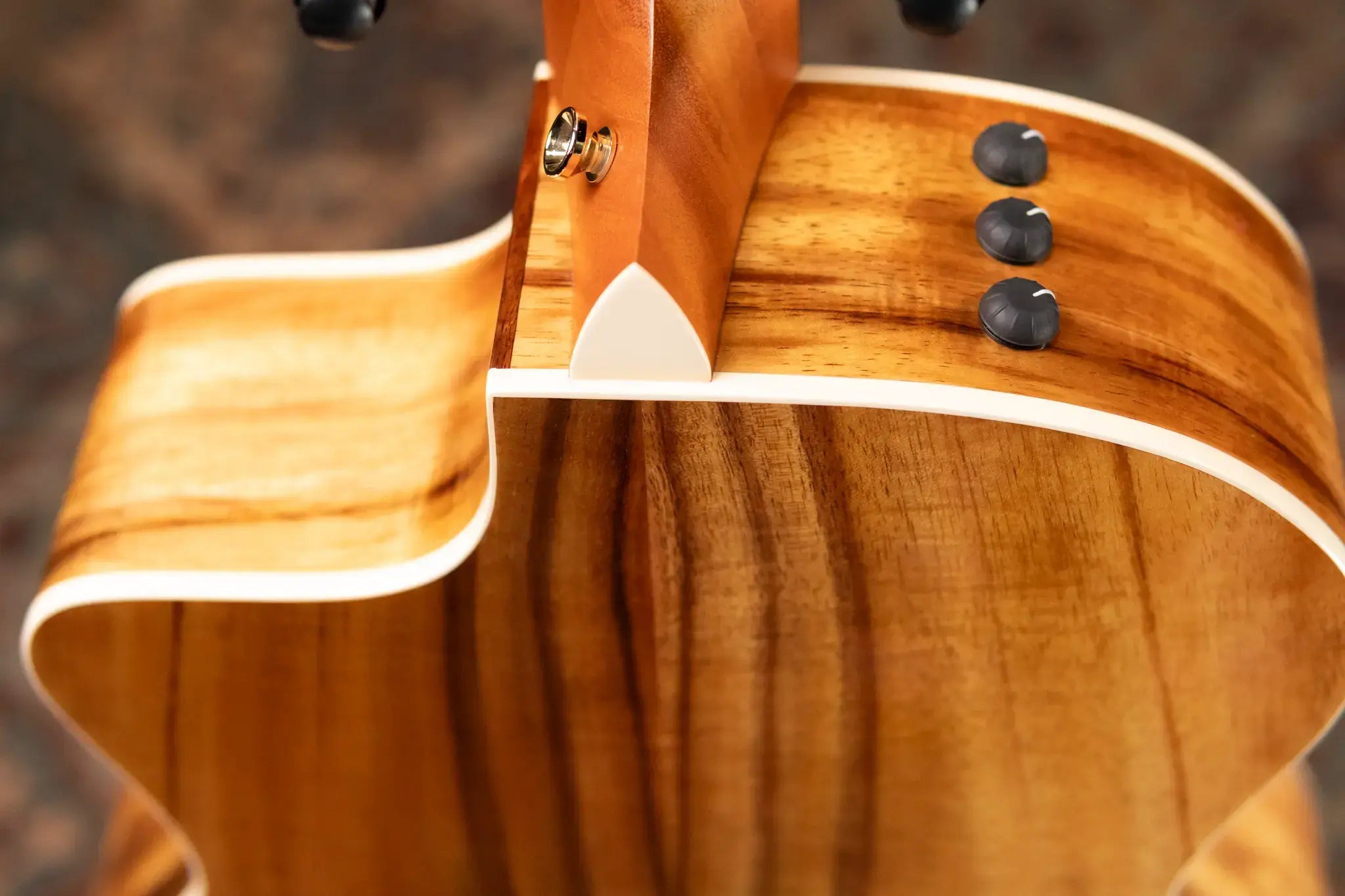 Taylor 214ce-K DLX Grand Auditorium Acoustic/Electric Guitar with Hardshell Case - Factory Demo
