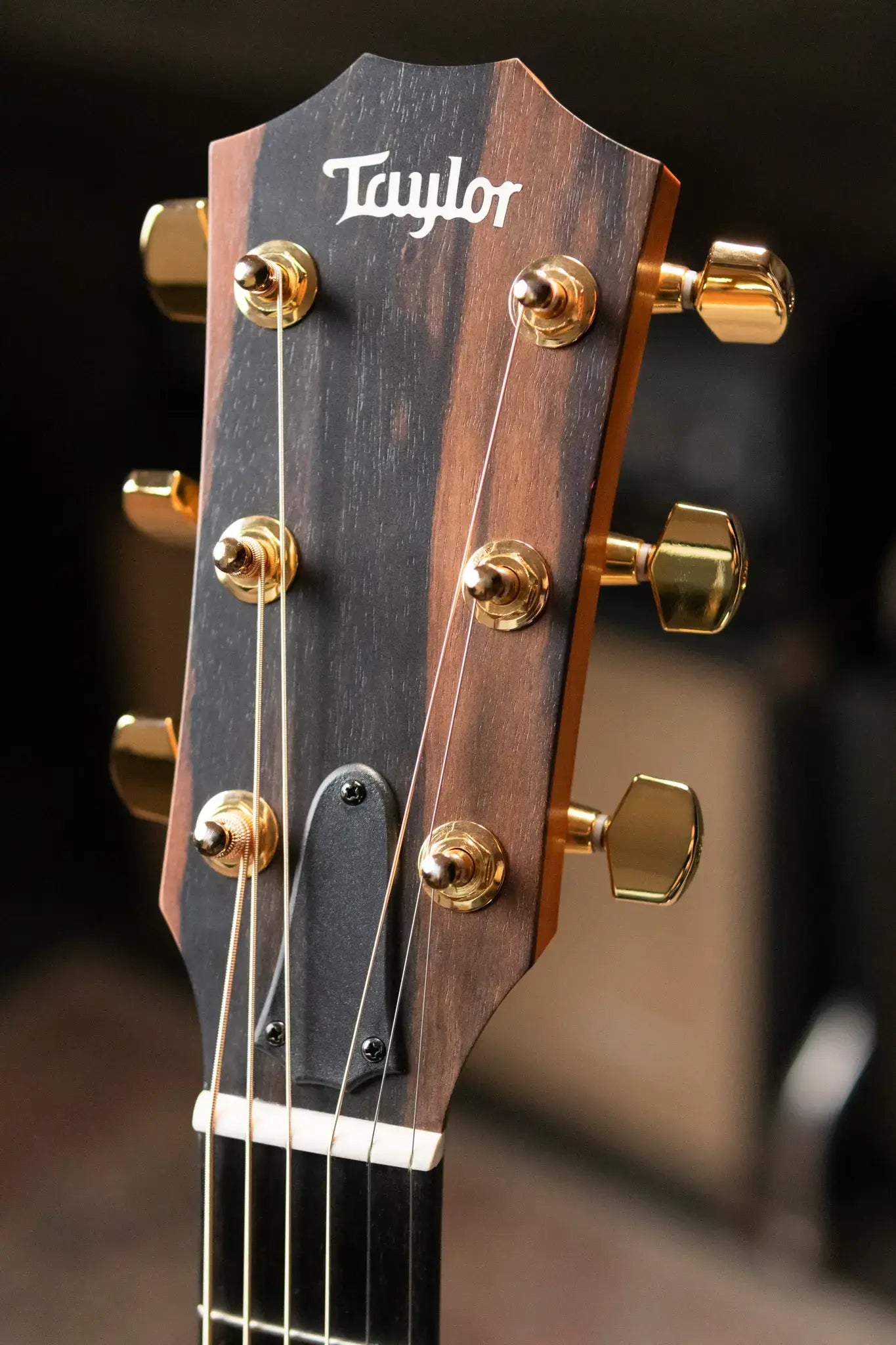 Taylor 214ce-K DLX Grand Auditorium Acoustic/Electric Guitar with Hardshell Case - Factory Demo