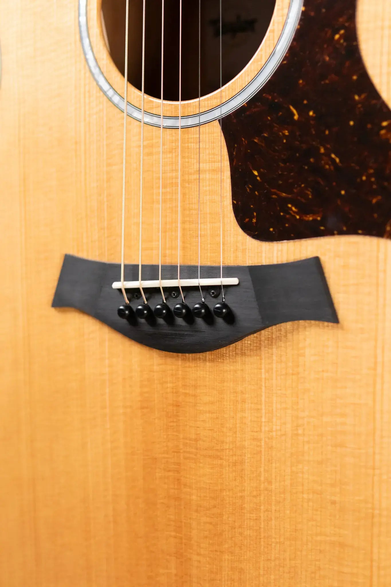 Taylor 214ce-K DLX Grand Auditorium Acoustic/Electric Guitar with Hardshell Case - Factory Demo