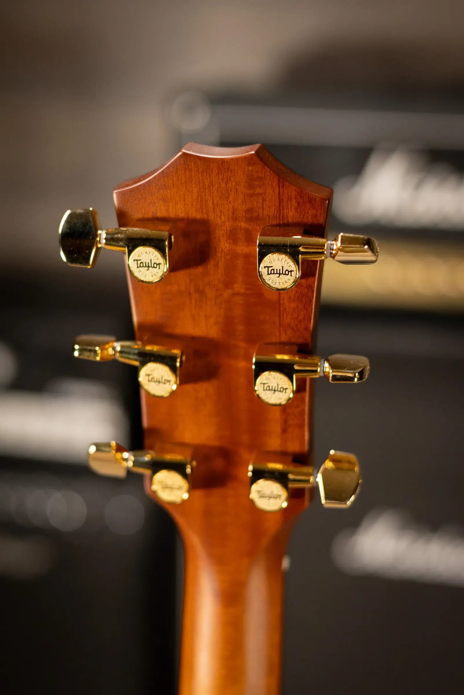 Taylor 214ce-K DLX Special Edition Grand Auditorium Acoustic/Electric Guitar - Honeyburst with Hardshell Case