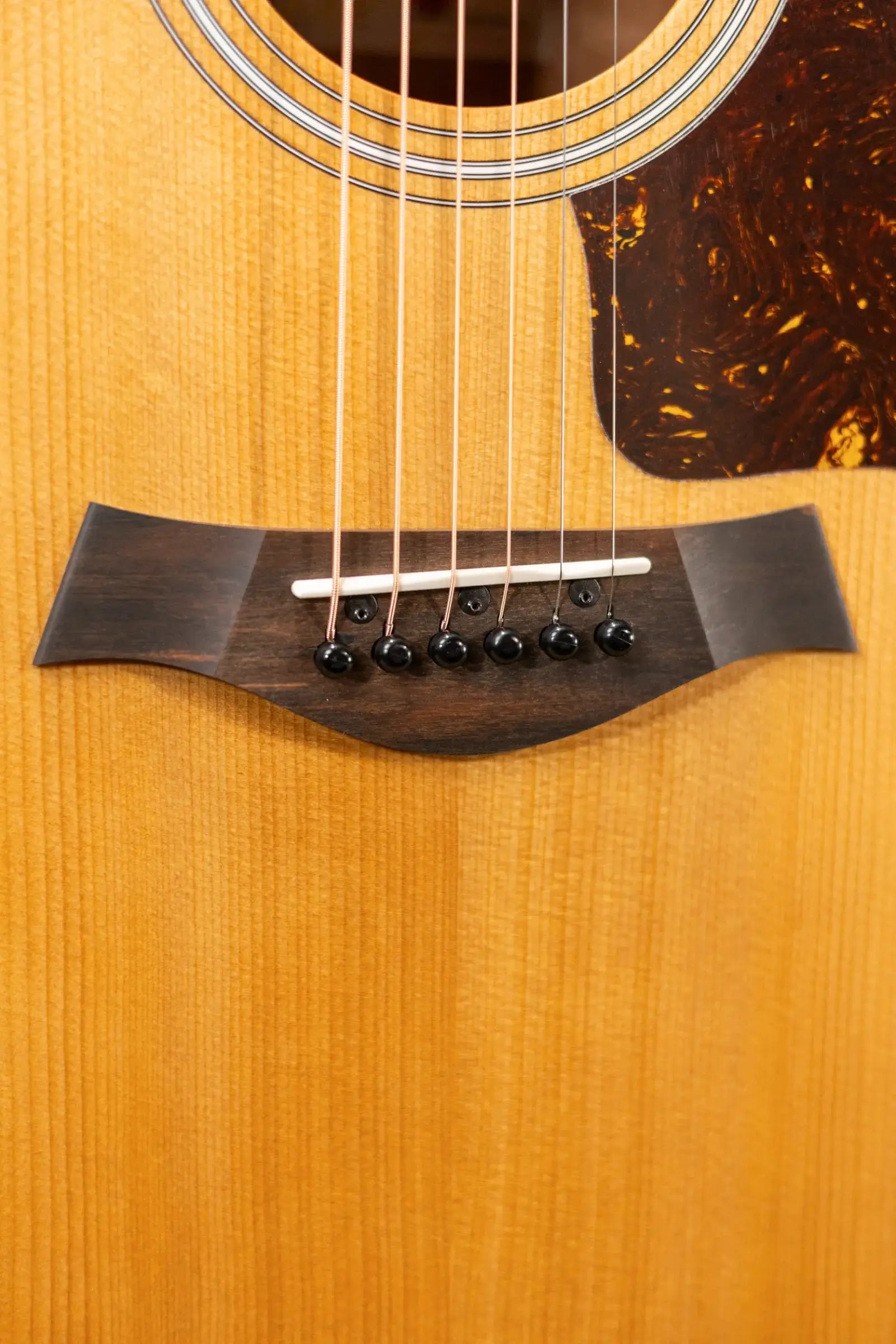 Taylor 214ce-K Grand Auditorium Acoustic/Electric Guitar with Gig Bag