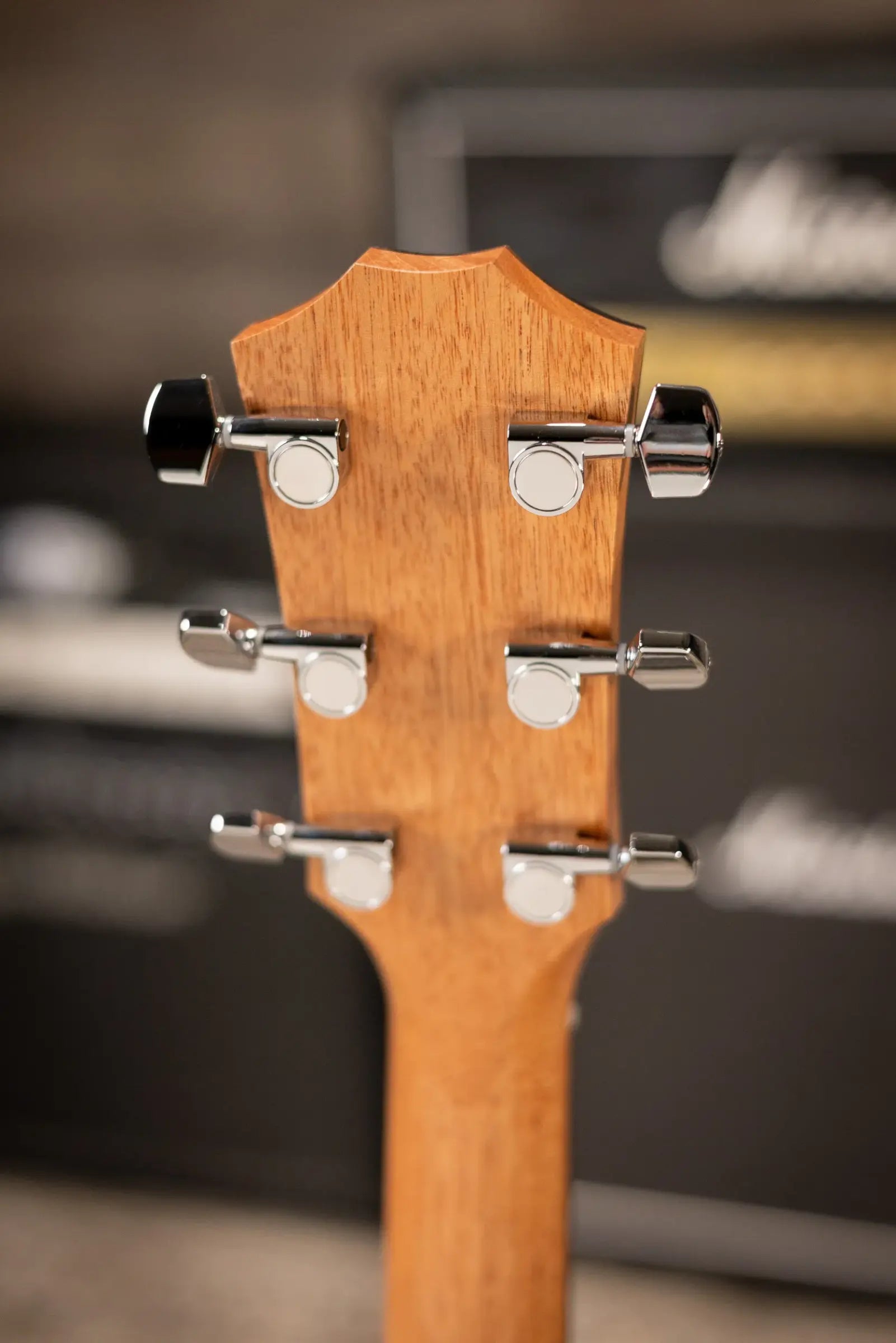 Taylor 214ce-K Grand Auditorium Acoustic/Electric Guitar with Gig Bag