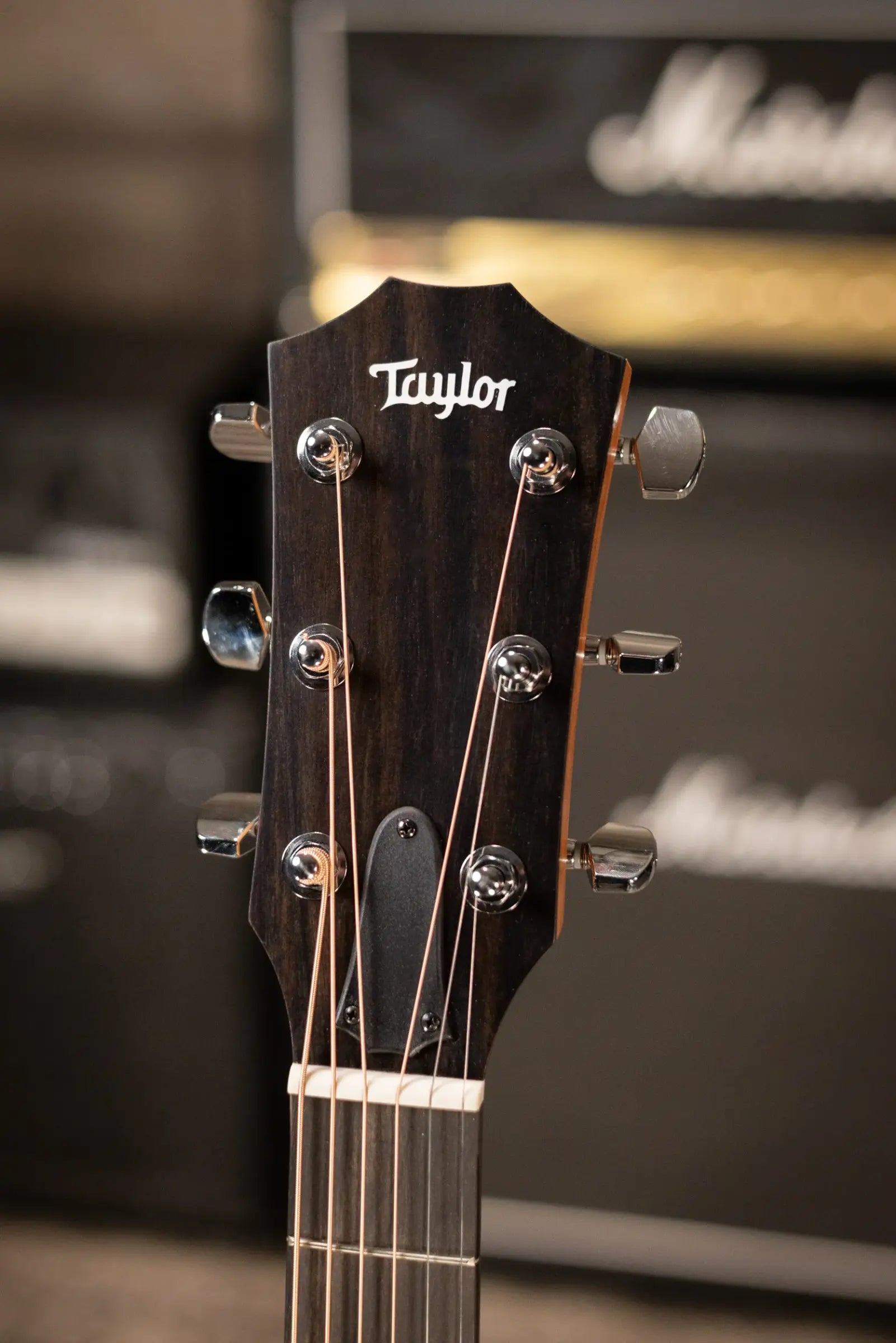 Taylor 214ce-K Grand Auditorium Acoustic-Electric Guitar with Structured Gig Bag