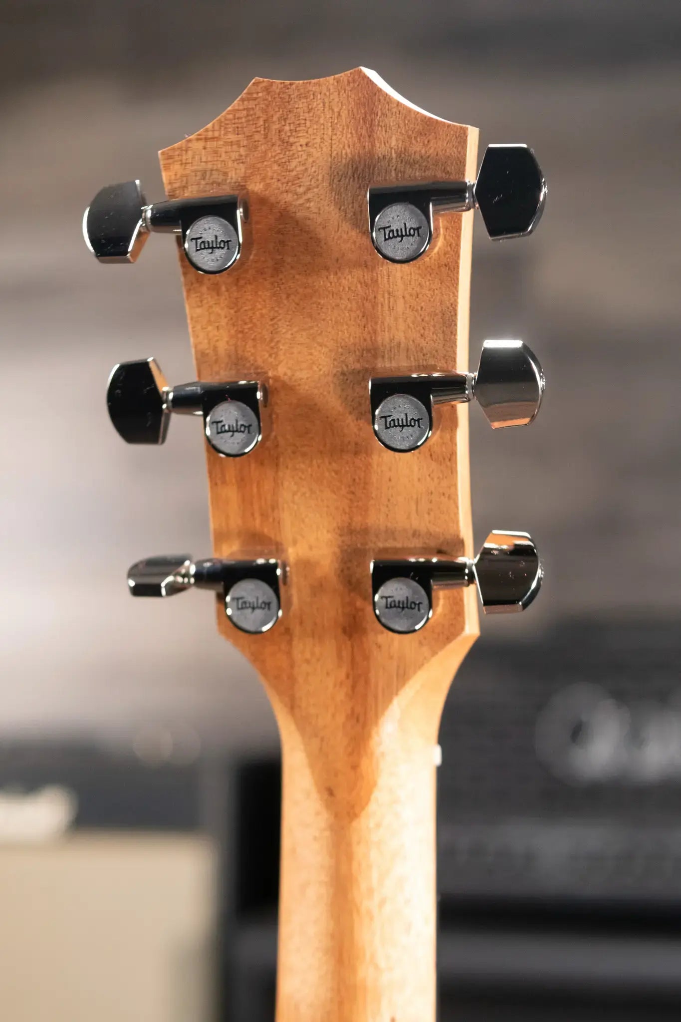 Taylor 214ce-K SB Plus Grand Auditorium Acoustic/Electric Guitar - Shaded Edgeburst with Aerocase